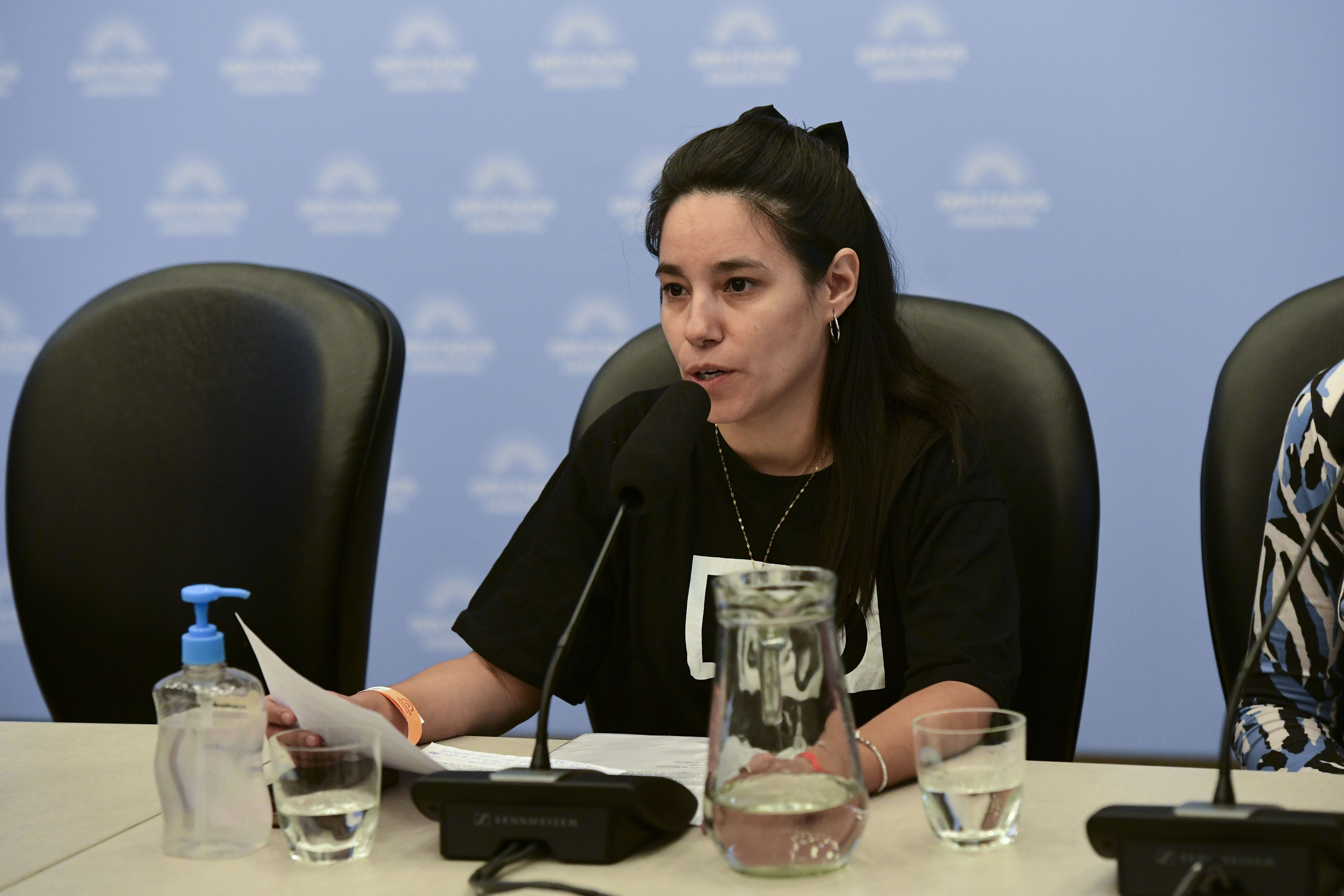 Galeria de imagenes de la noticia COMENZARON EN DIPUTADOS LAS AUDIENCIAS PÚBLICAS POR LA MODIFICACIÓN DE LA LEY DE GLACIARES