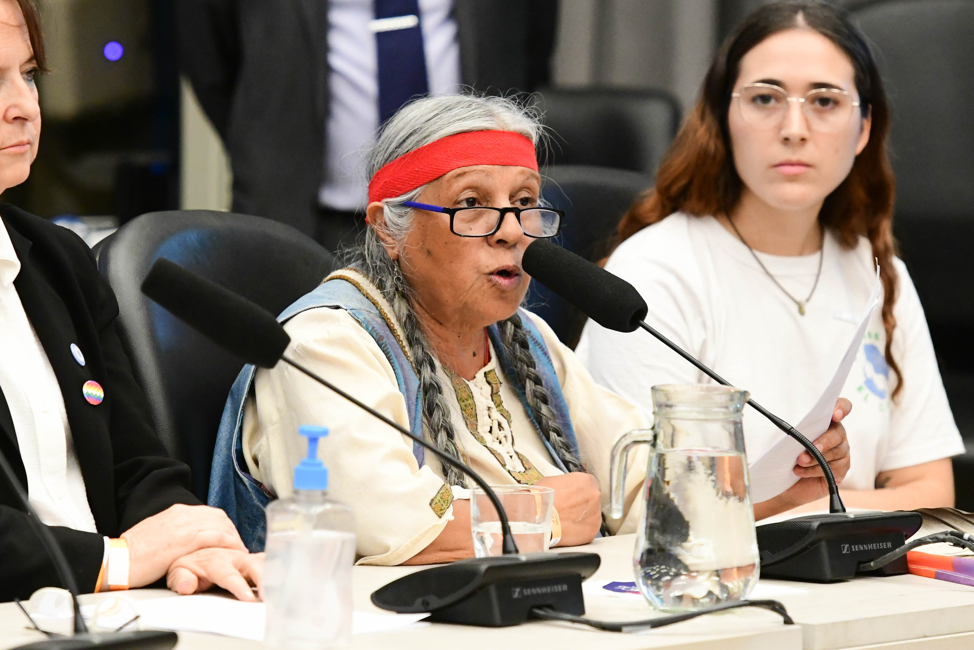 Galeria de imagenes de la noticia COMENZARON EN DIPUTADOS LAS AUDIENCIAS PÚBLICAS POR LA MODIFICACIÓN DE LA LEY DE GLACIARES