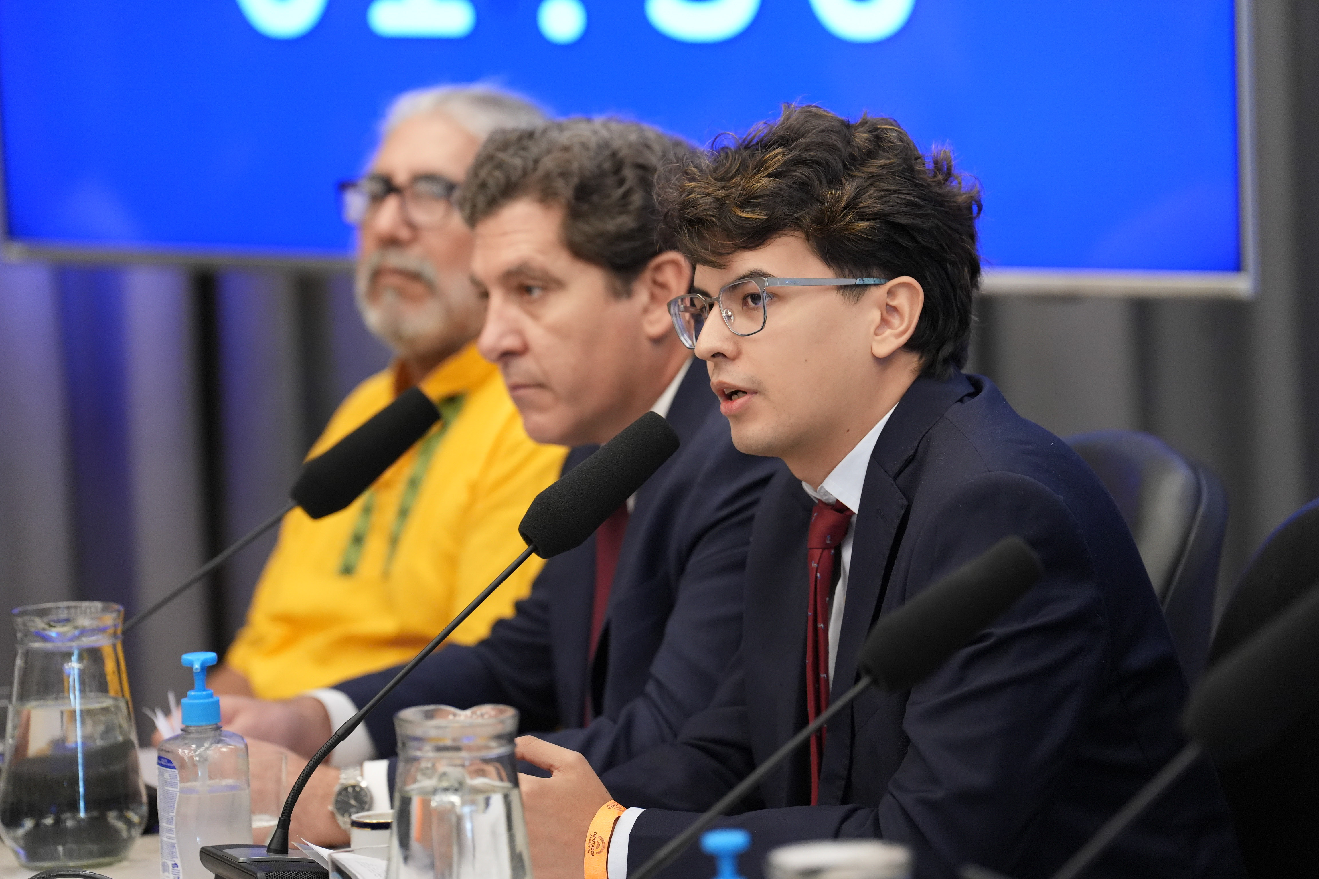 Galeria de imagenes de la noticia COMENZARON EN DIPUTADOS LAS AUDIENCIAS PÚBLICAS POR LA MODIFICACIÓN DE LA LEY DE GLACIARES