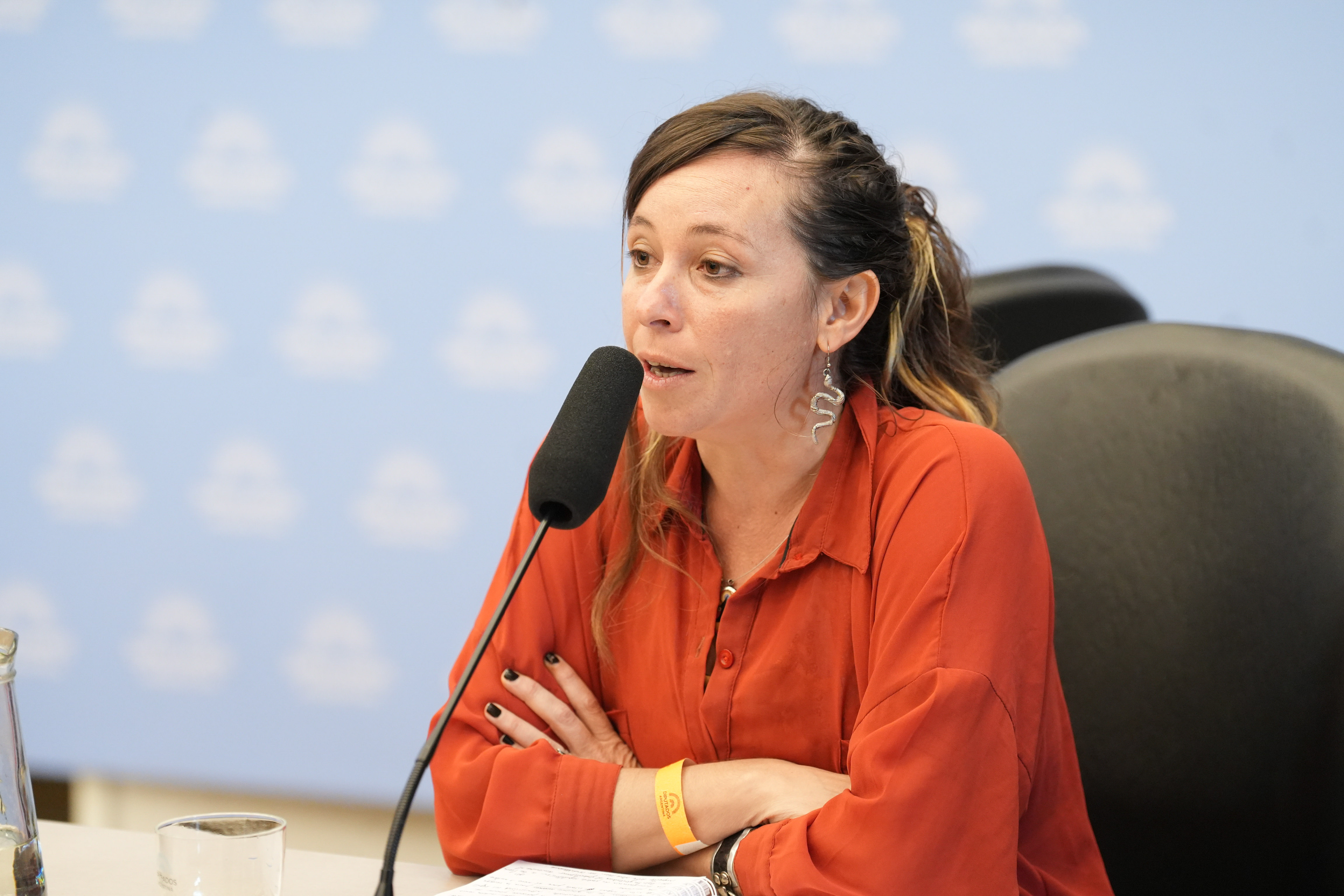 Galeria de imagenes de la noticia COMENZARON EN DIPUTADOS LAS AUDIENCIAS PÚBLICAS POR LA MODIFICACIÓN DE LA LEY DE GLACIARES