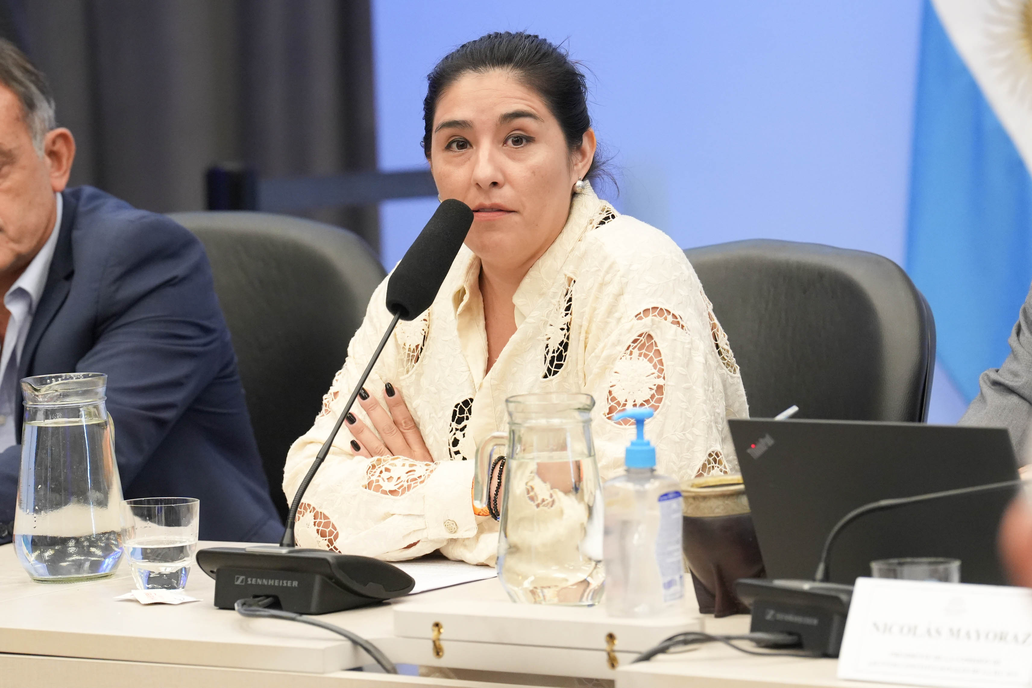 Galeria de imagenes de la noticia COMENZARON EN DIPUTADOS LAS AUDIENCIAS PÚBLICAS POR LA MODIFICACIÓN DE LA LEY DE GLACIARES