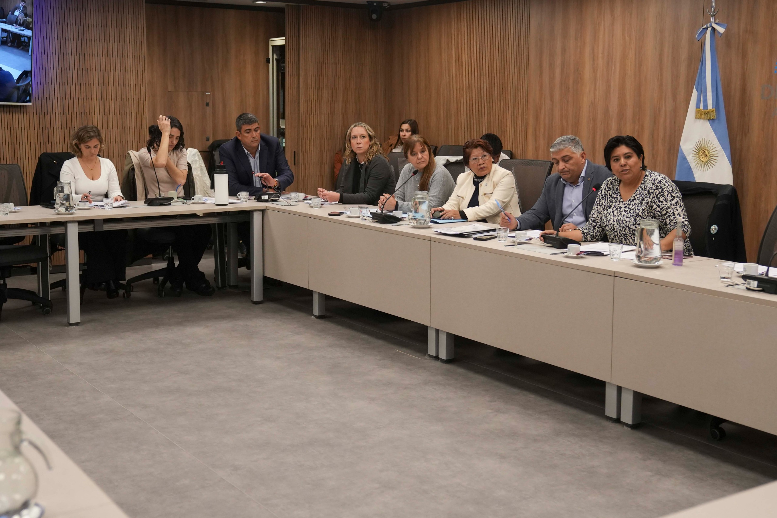Galeria de imagenes de la noticia BICAMERAL DESPLAZÓ A MARISA GRAHAM COMO DEFENSORA DE LOS DERECHOS DE NIÑAS, NIÑOS Y ADOLESCENTES