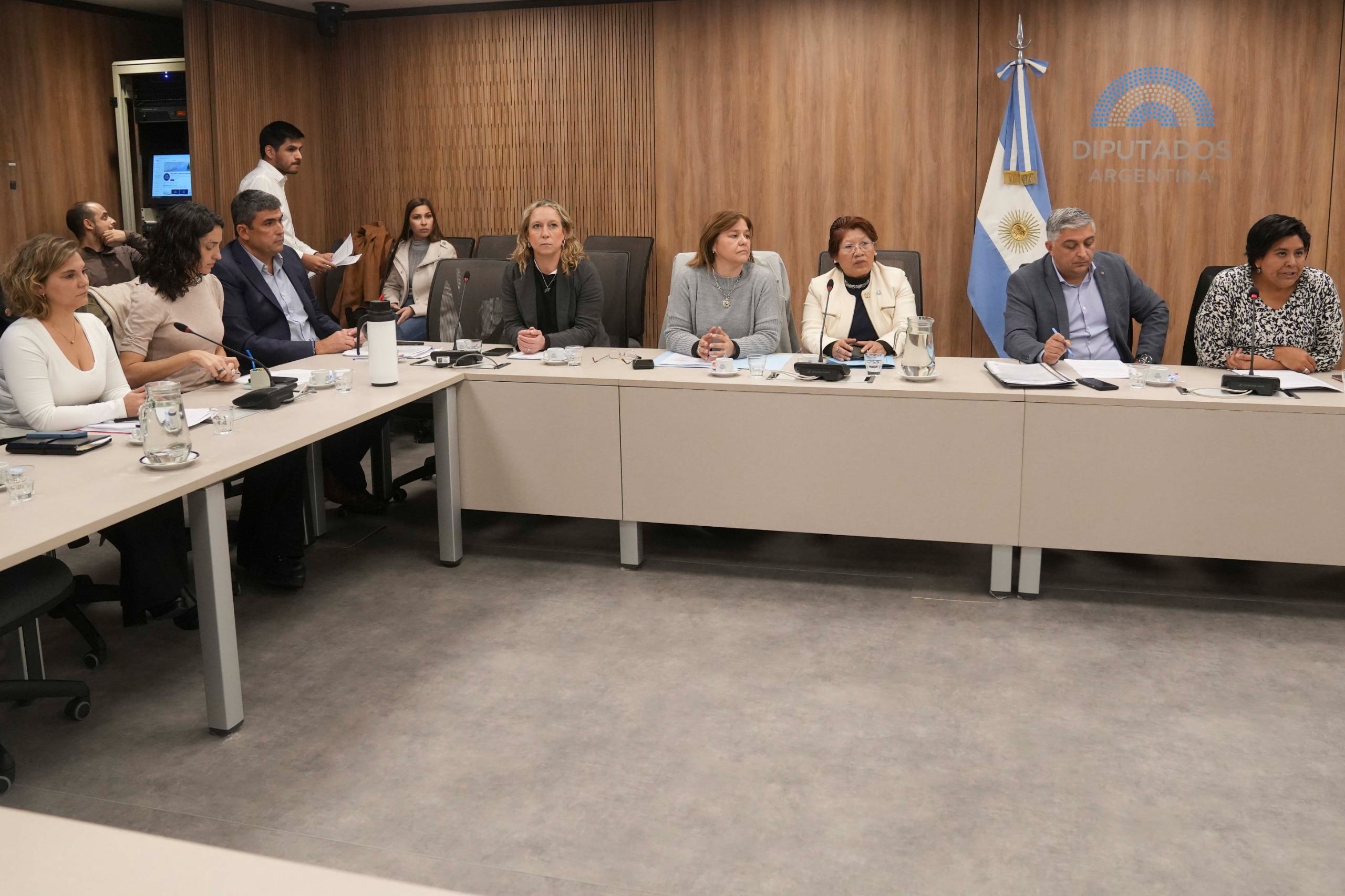 Galeria de imagenes de la noticia BICAMERAL DESPLAZÓ A MARISA GRAHAM COMO DEFENSORA DE LOS DERECHOS DE NIÑAS, NIÑOS Y ADOLESCENTES