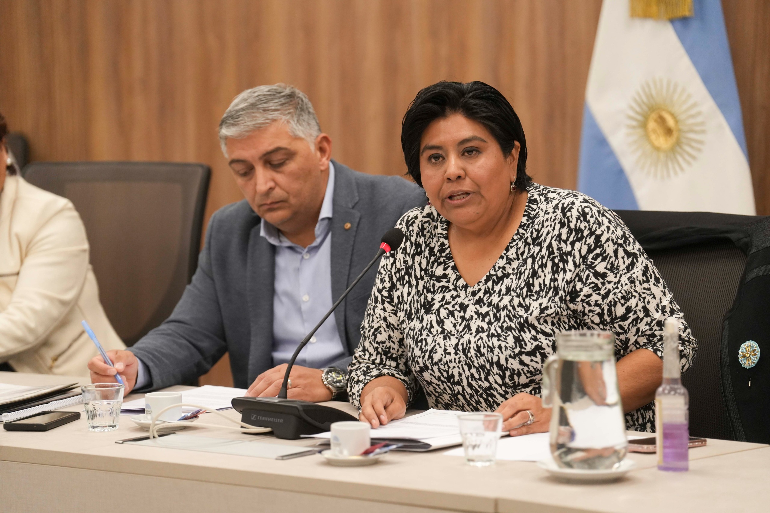 Galeria de imagenes de la noticia BICAMERAL DESPLAZÓ A MARISA GRAHAM COMO DEFENSORA DE LOS DERECHOS DE NIÑAS, NIÑOS Y ADOLESCENTES