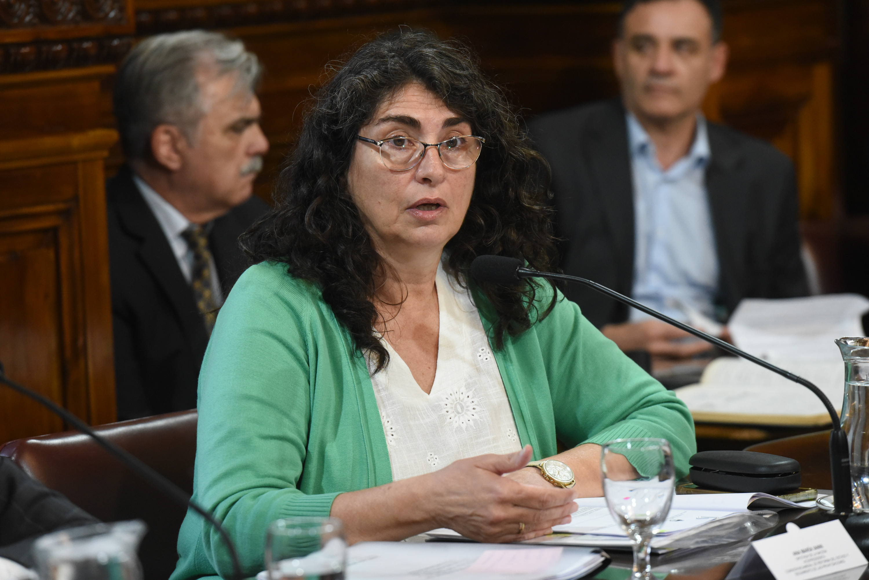 Galeria de imagenes de la noticia BICAMERAL ACORDÓ SOLICITAR AMPLIACIÓN DE INFORMES AL EJECUTIVO DE EMPRESAS  EN PROCESO DE PRIVATIZACIÓN