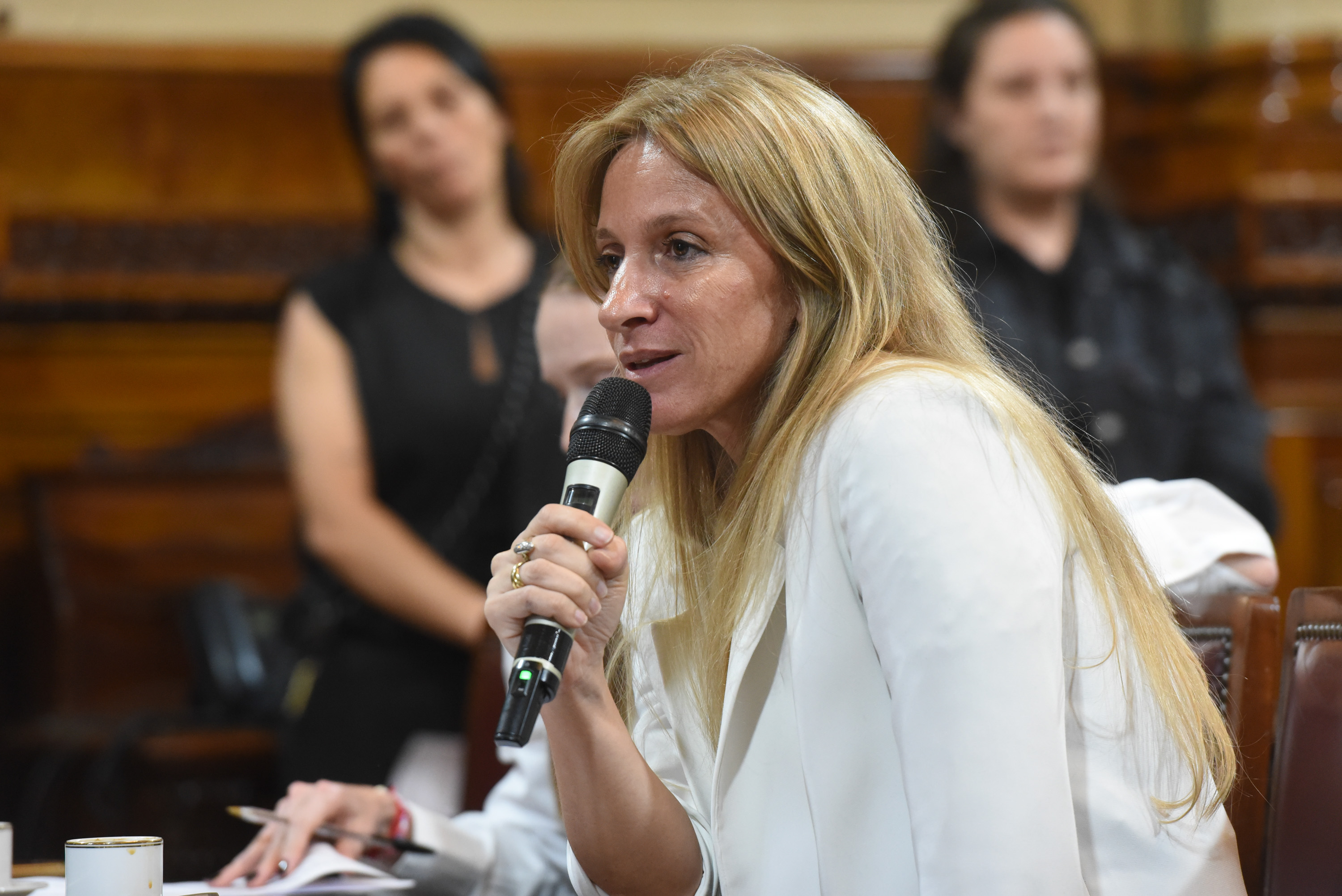 Galeria de imagenes de la noticia BICAMERAL ACORDÓ SOLICITAR AMPLIACIÓN DE INFORMES AL EJECUTIVO DE EMPRESAS  EN PROCESO DE PRIVATIZACIÓN