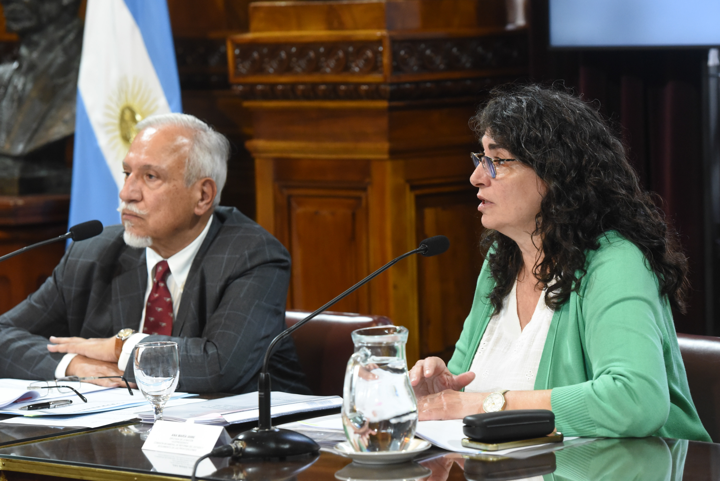 Galeria de imagenes de la noticia BICAMERAL ACORDÓ SOLICITAR AMPLIACIÓN DE INFORMES AL EJECUTIVO DE EMPRESAS  EN PROCESO DE PRIVATIZACIÓN