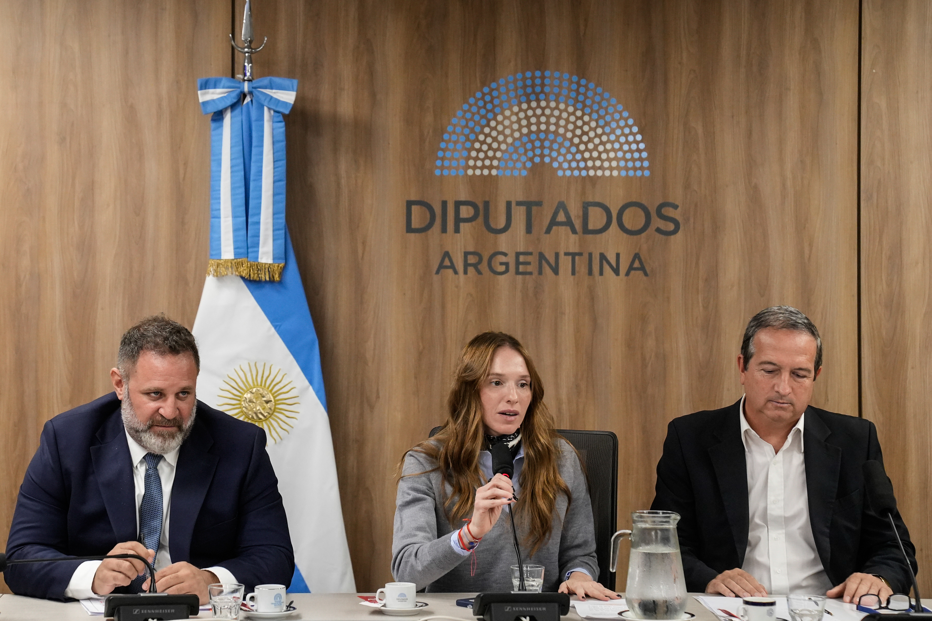 Galeria de imagenes de la noticia SE CONSTITUYÓ LA COMISIÓN DE SEGURIDAD INTERIOR