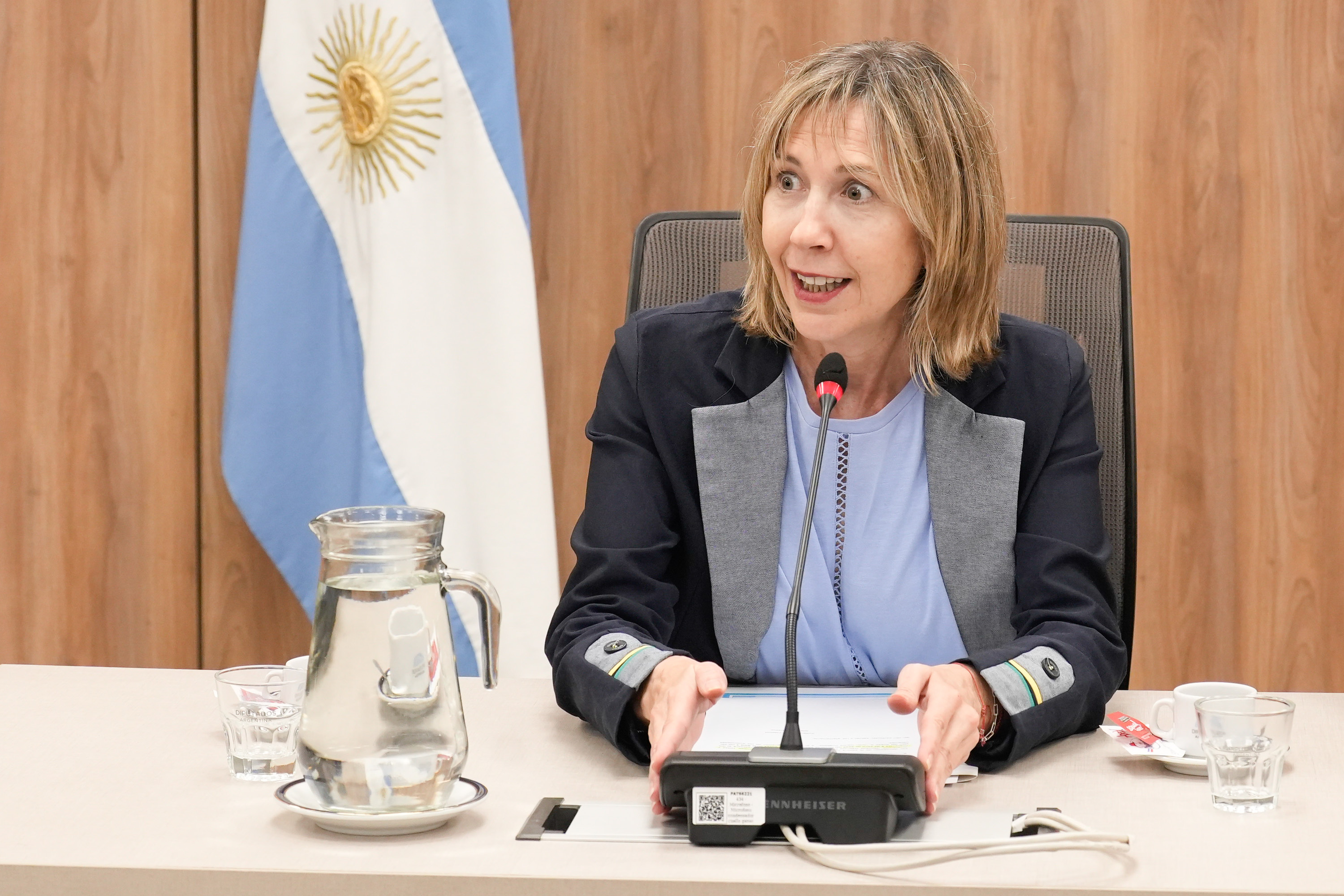 Galeria de imagenes de la noticia SE CONSTITUYÓ LA COMISIÓN DE SEGURIDAD INTERIOR