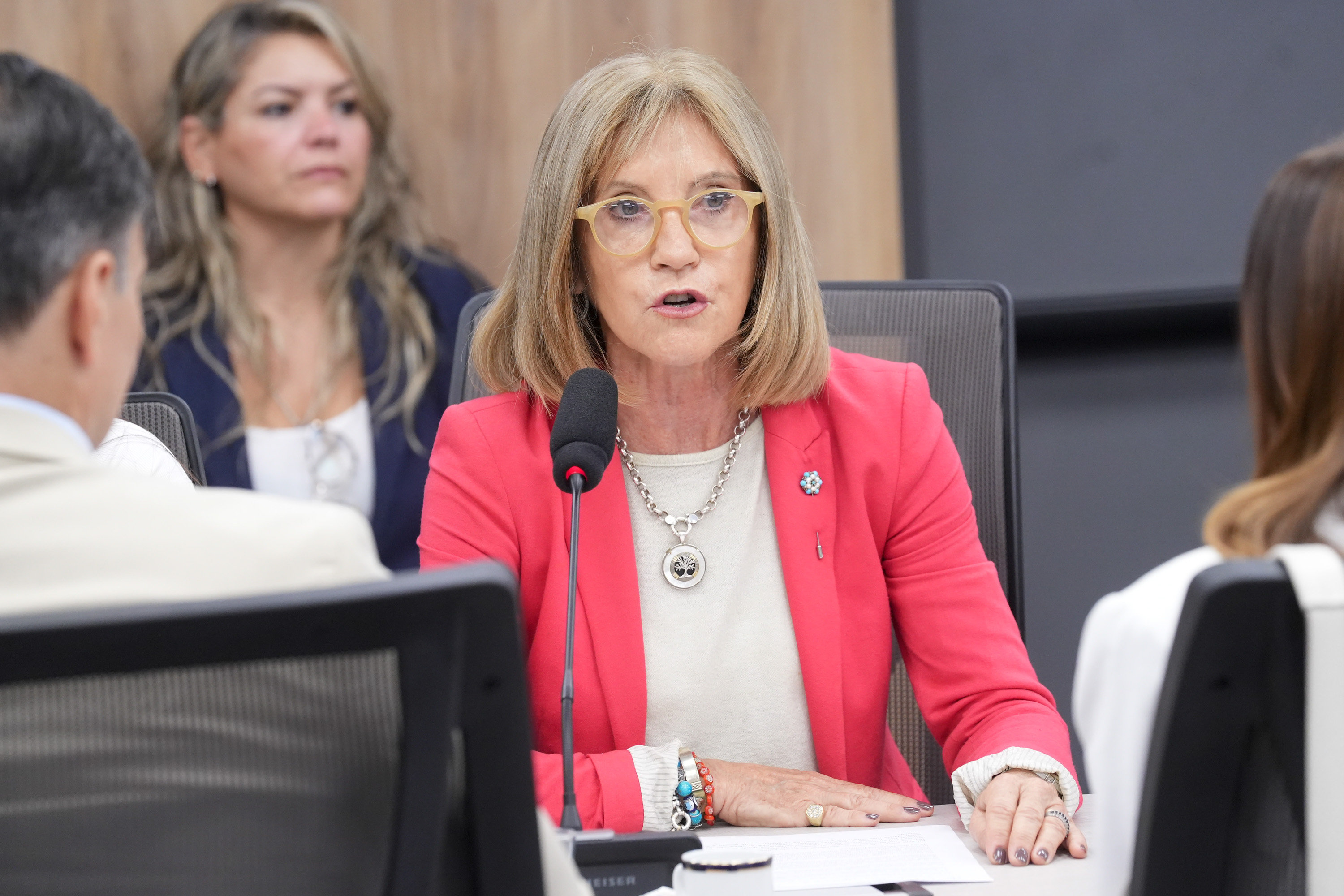 Galeria de imagenes de la noticia DIPUTADOS CONTINÚA CON LA CONFORMACIÓN DE LAS COMISIONES 