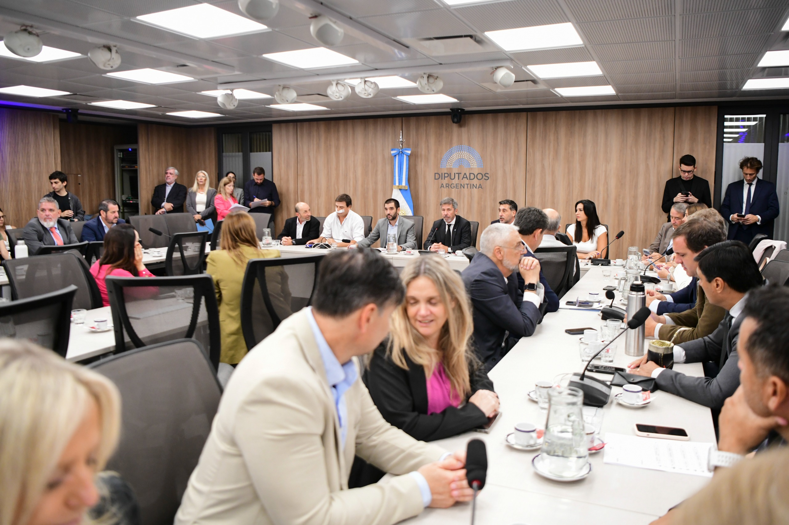 Galeria de imagenes de la noticia DIPUTADOS CONTINÚA CON LA CONFORMACIÓN DE LAS COMISIONES 