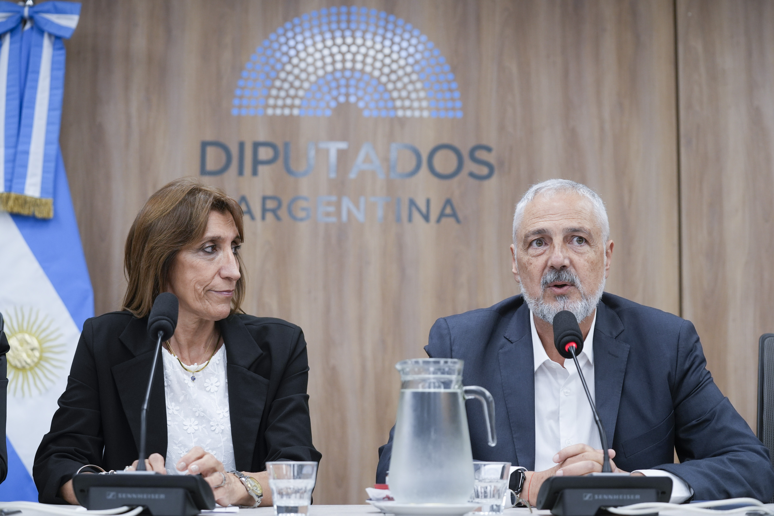 Galeria de imagenes de la noticia DIPUTADOS CONTINÚA CON LA CONFORMACIÓN DE LAS COMISIONES 