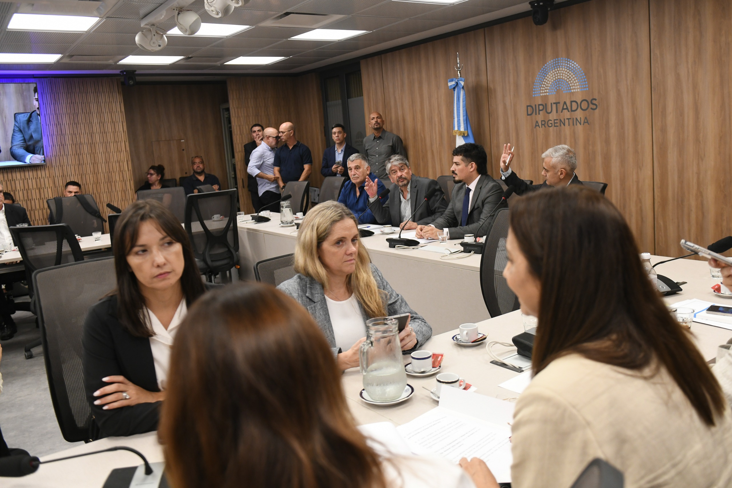 Galeria de imagenes de la noticia SIETE COMISIONES DE LA CÁMARA DE DIPUTADOS ELIGEN SUS AUTORIDADES