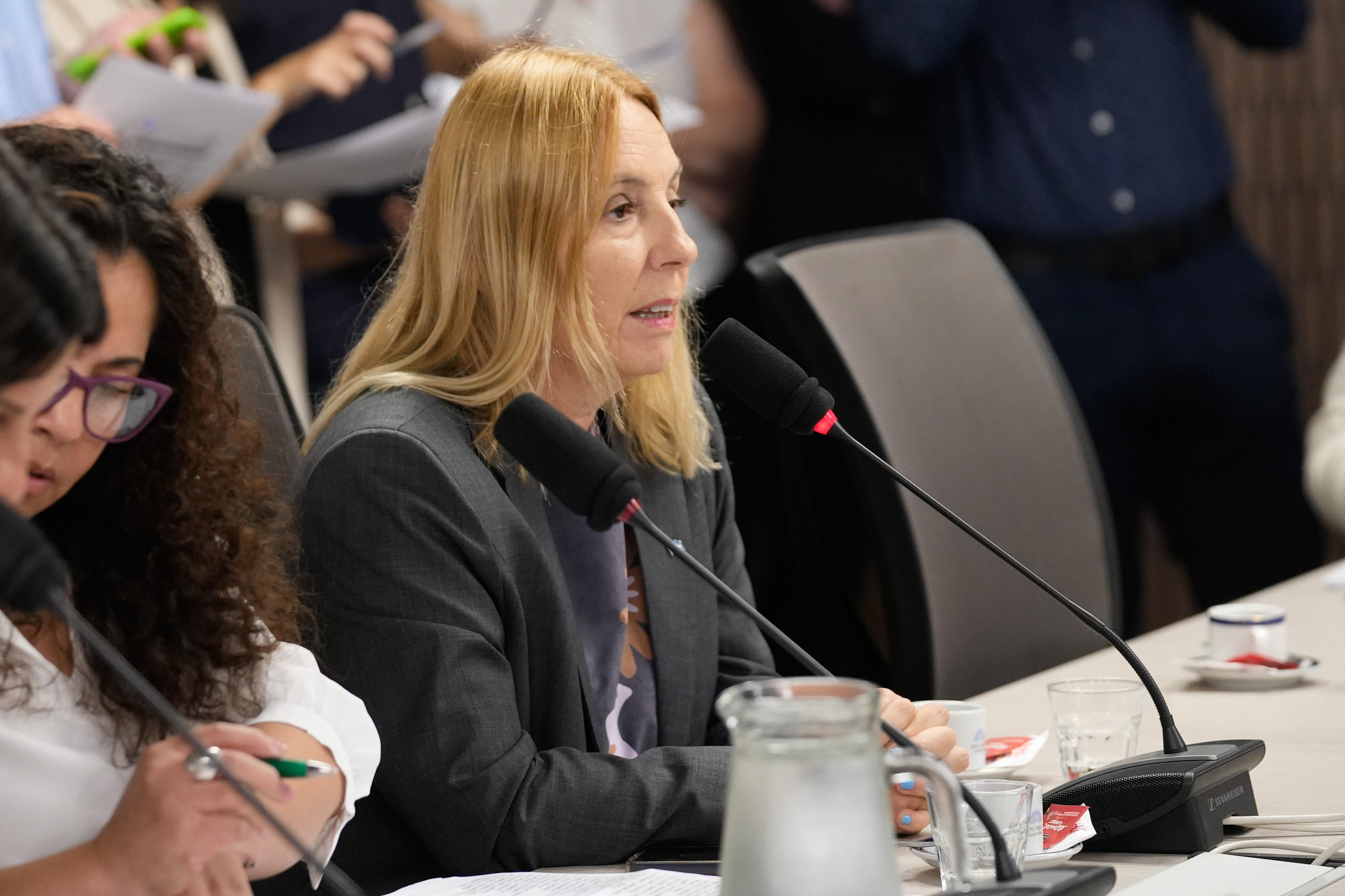 Galeria de imagenes de la noticia SIETE COMISIONES DE LA CÁMARA DE DIPUTADOS ELIGEN SUS AUTORIDADES