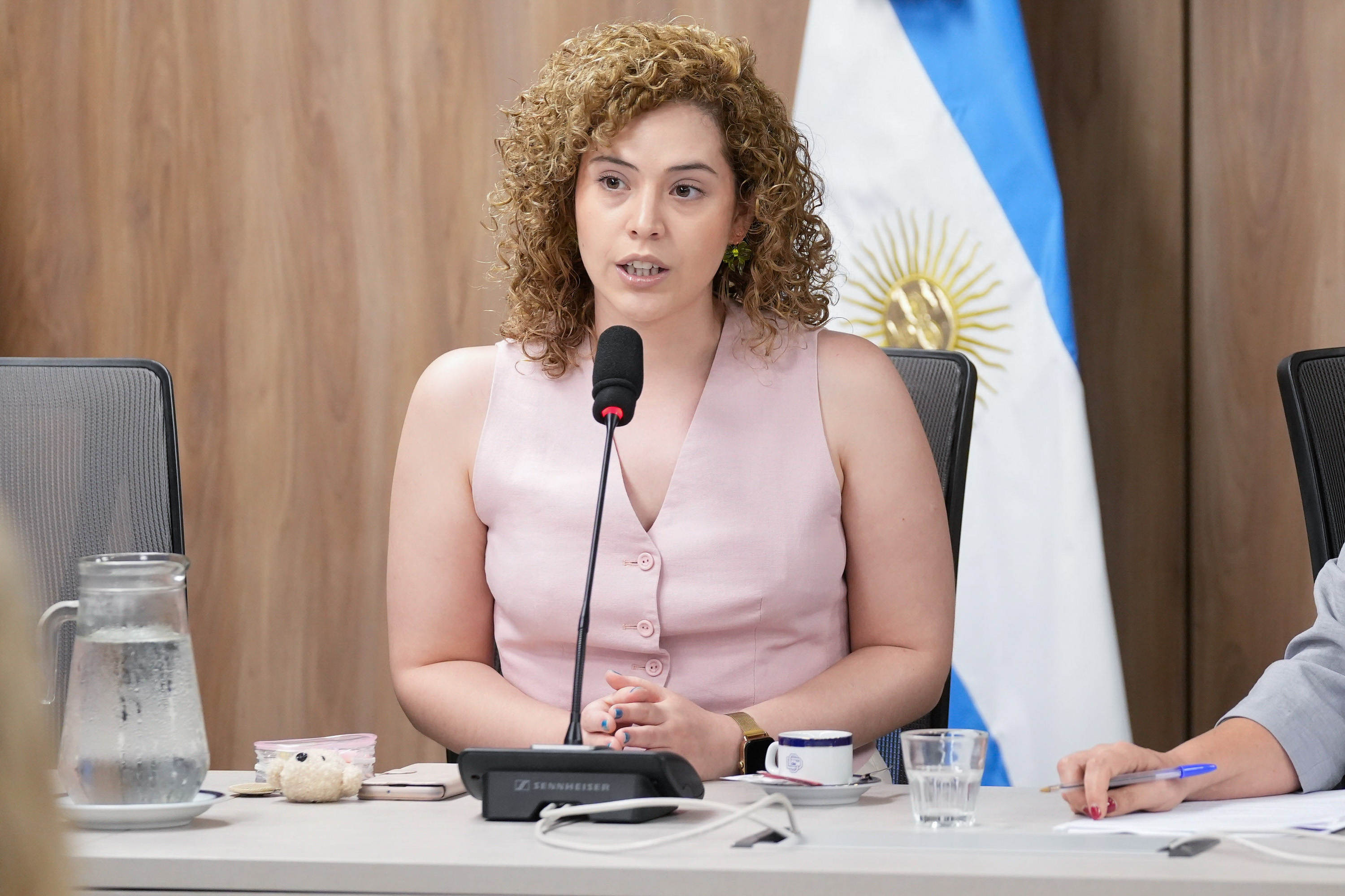 Galeria de imagenes de la noticia SIETE COMISIONES DE LA CÁMARA DE DIPUTADOS ELIGEN SUS AUTORIDADES