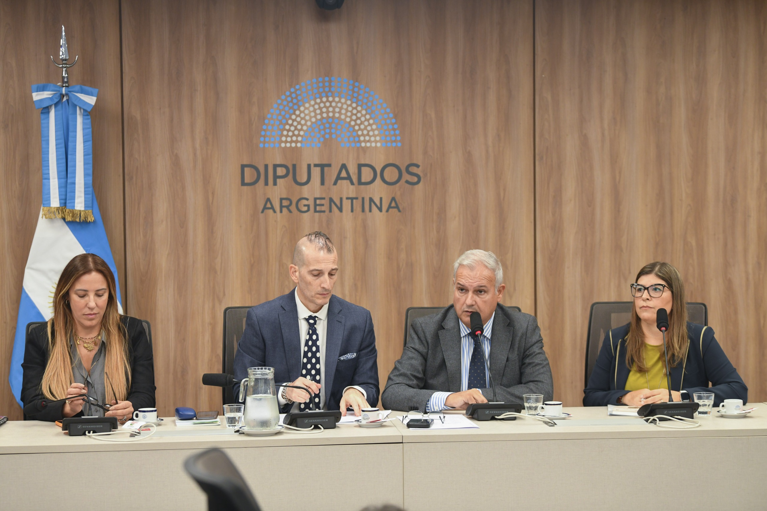 Galeria de imagenes de la noticia SIETE COMISIONES DE LA CÁMARA DE DIPUTADOS ELIGEN SUS AUTORIDADES