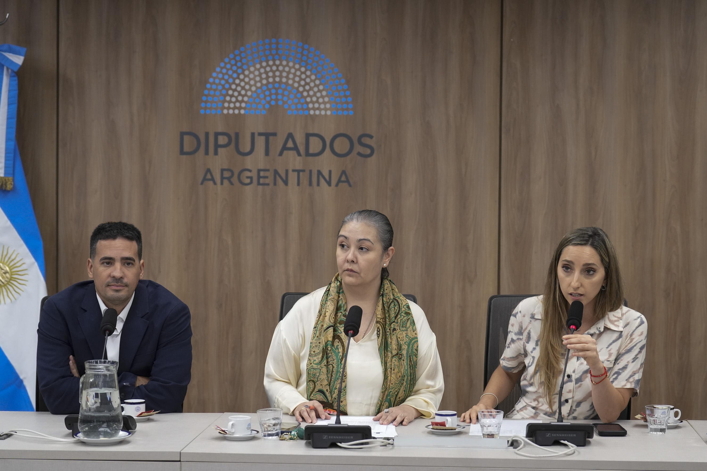 Galeria de imagenes de la noticia SIETE COMISIONES DE LA CÁMARA DE DIPUTADOS ELIGEN SUS AUTORIDADES