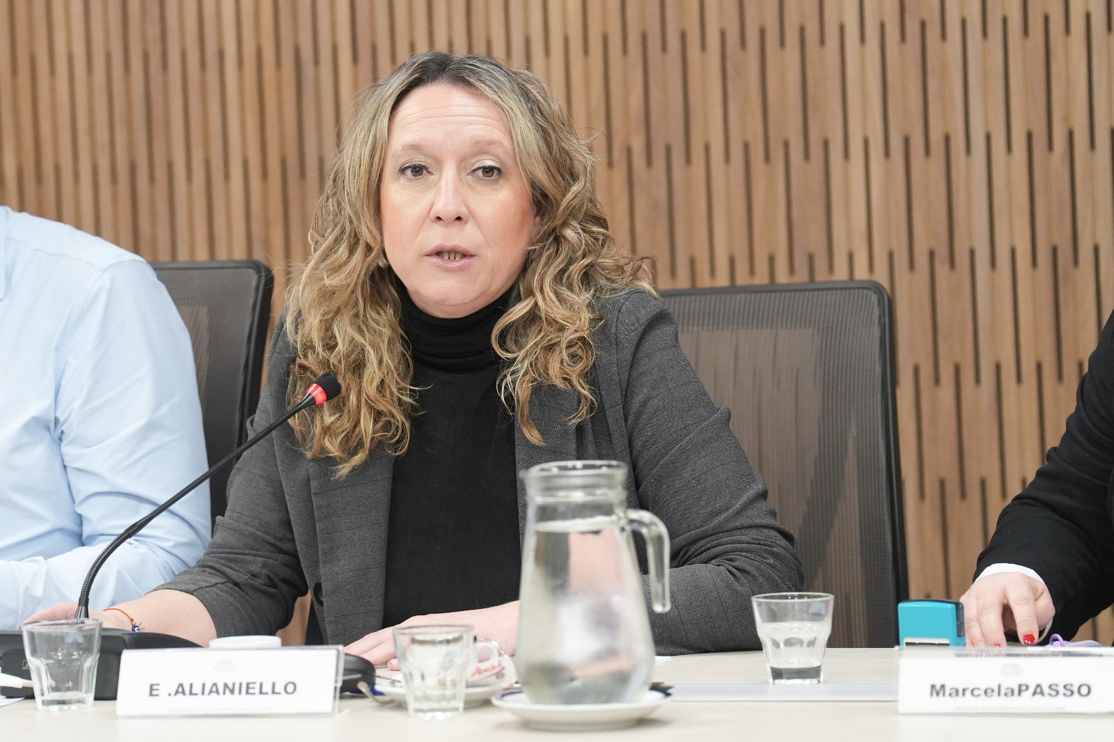 Galeria de imagenes de la noticia COMISIÓN AVANZÓ CON UNA BATERÍA DE PROYECTOS DE LEY, DE RESOLUCIÓN Y DECLARACIÓN REFERIDOS AL SECTOR COOPERATIVO