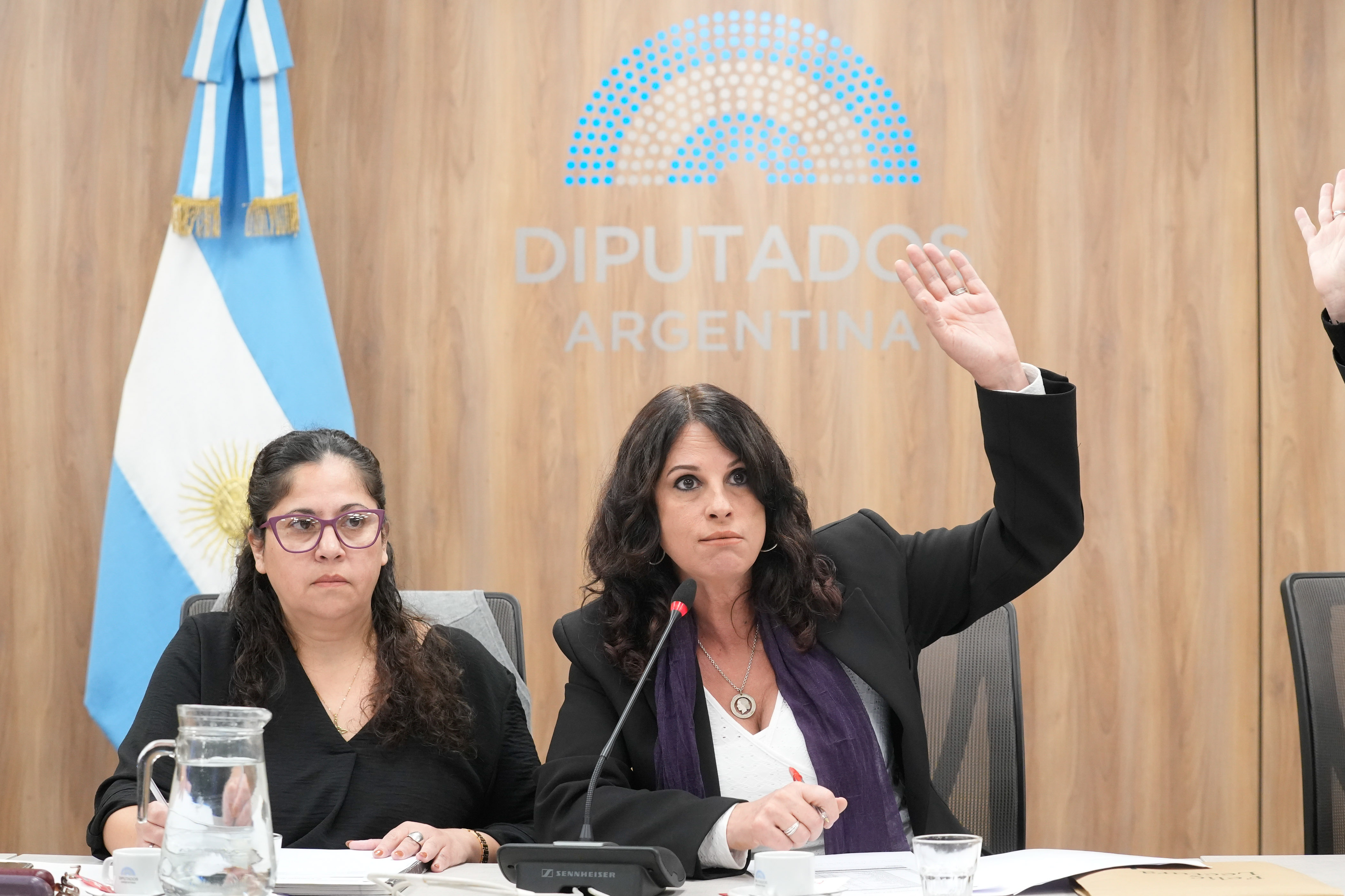 Galeria de imagenes de la noticia LA COMISIÓN DE CULTURA DESIGNÓ LOS CARGOS DIRECTIVOS VACANTES