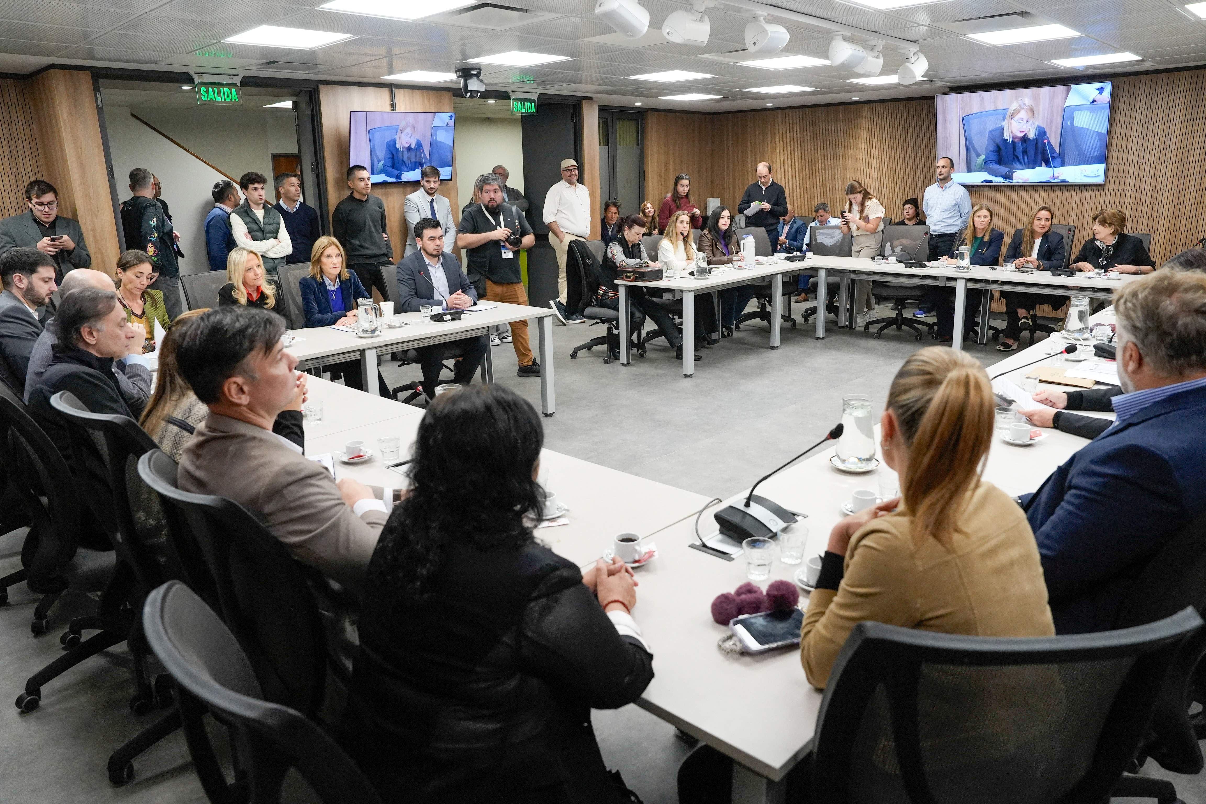 Galeria de imagenes de la noticia LA COMISIÓN DE CULTURA DESIGNÓ LOS CARGOS DIRECTIVOS VACANTES