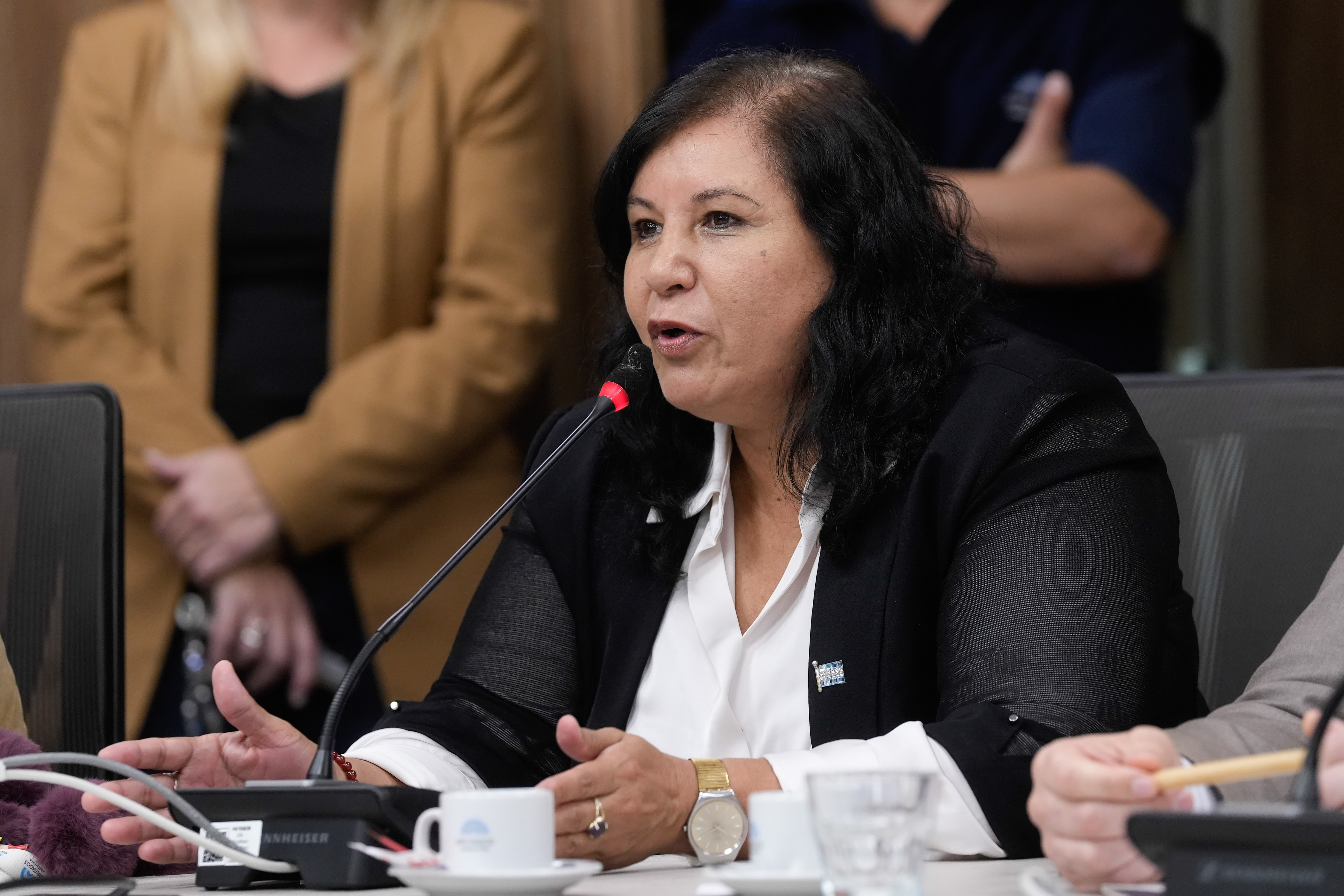 Galeria de imagenes de la noticia LA COMISIÓN DE CULTURA DESIGNÓ LOS CARGOS DIRECTIVOS VACANTES