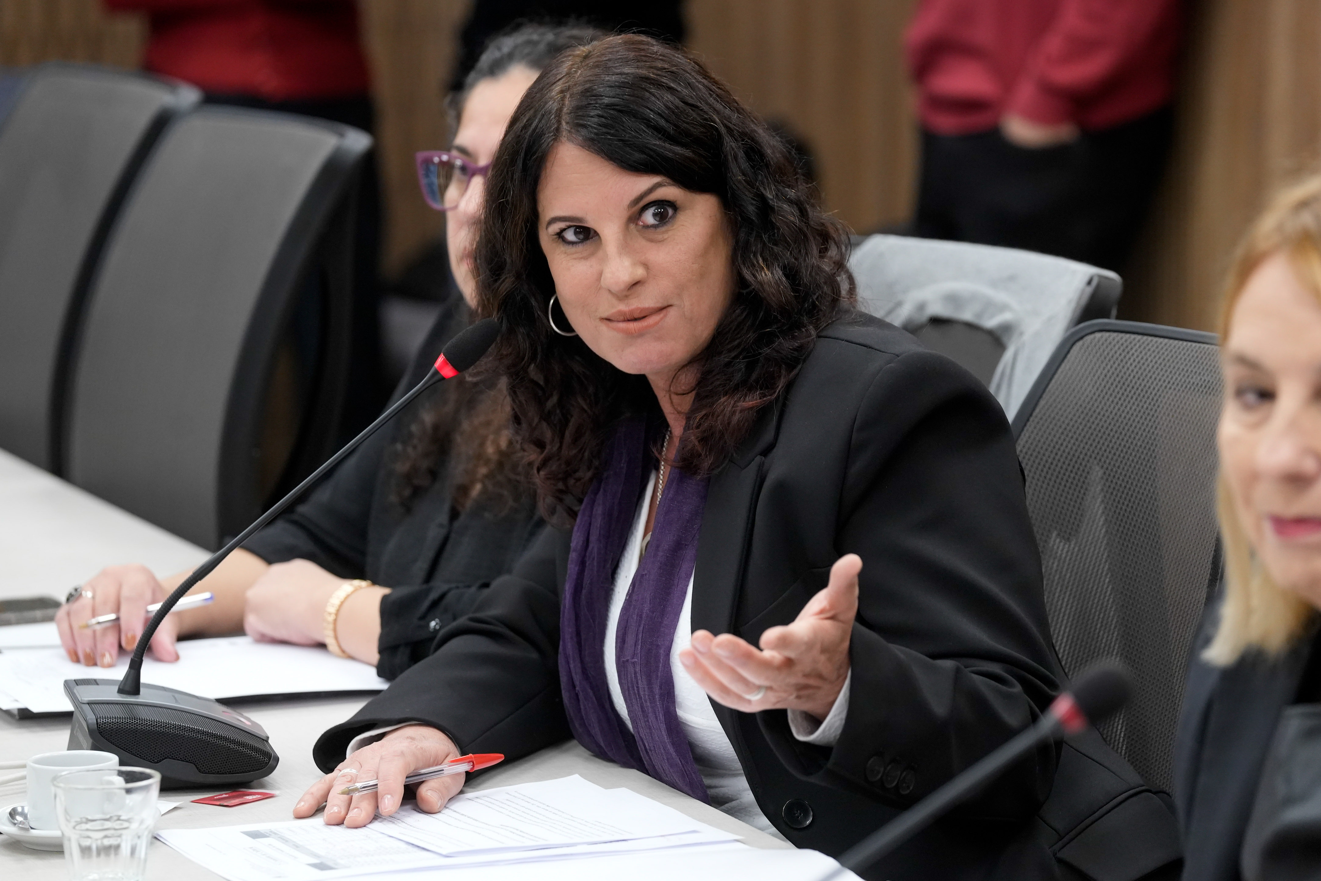 Galeria de imagenes de la noticia LA COMISIÓN DE CULTURA DESIGNÓ LOS CARGOS DIRECTIVOS VACANTES