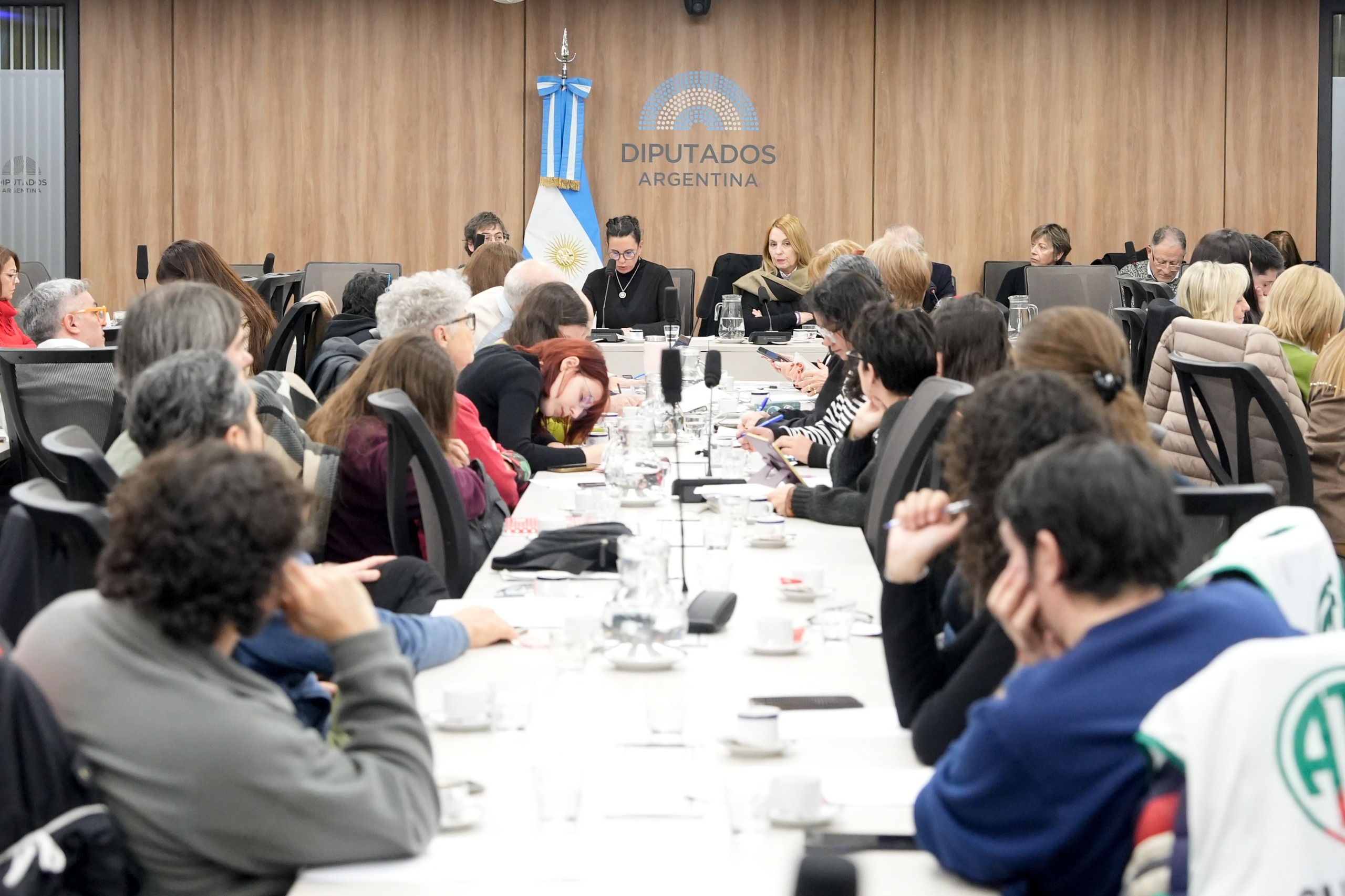 Galeria de imagenes de la noticia EL TITULAR DEL INCAA, CARLOS PIROVANO, EXPUSO EN LA COMISIÓN DE CULTURA