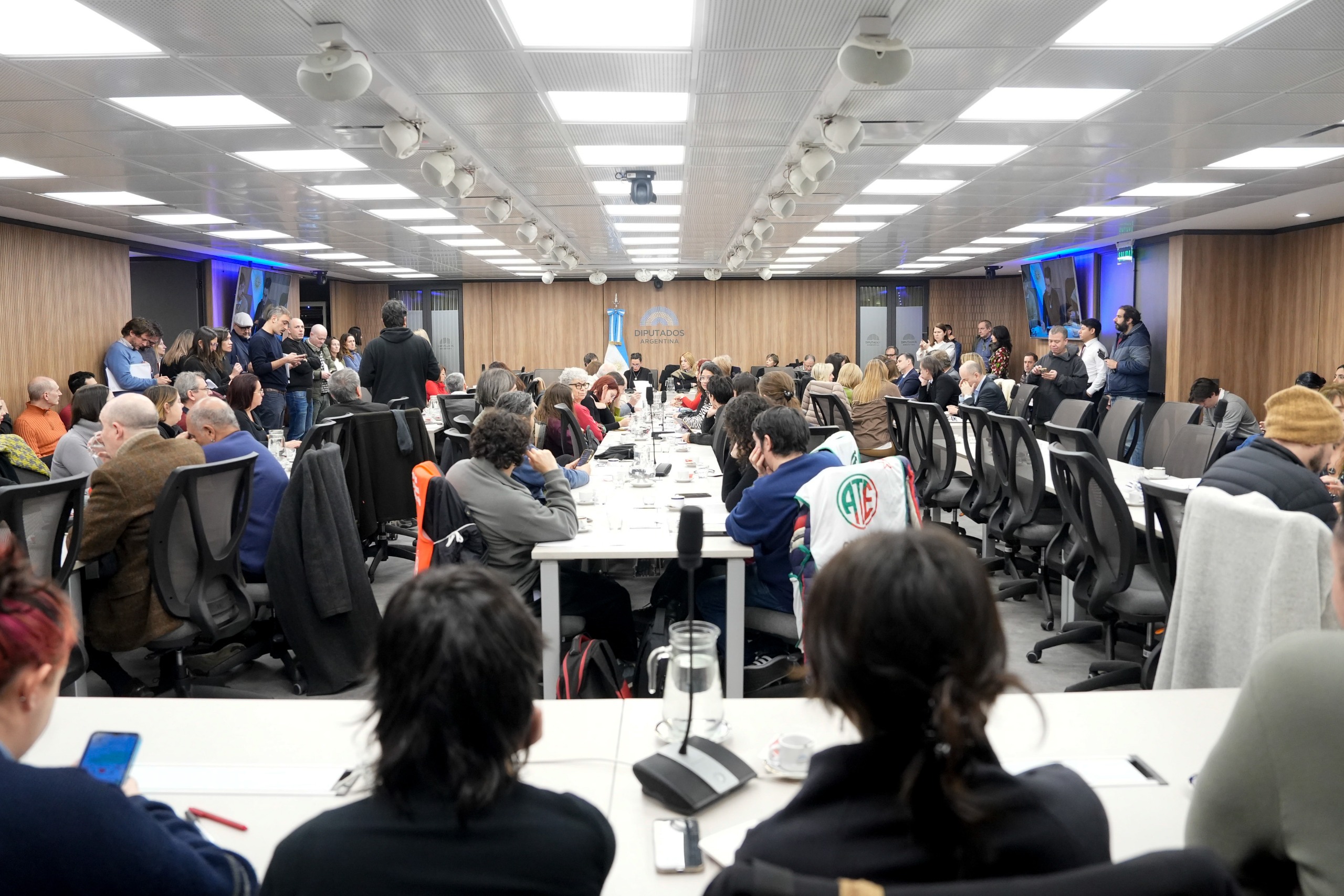 Galeria de imagenes de la noticia EL TITULAR DEL INCAA, CARLOS PIROVANO, EXPUSO EN LA COMISIÓN DE CULTURA