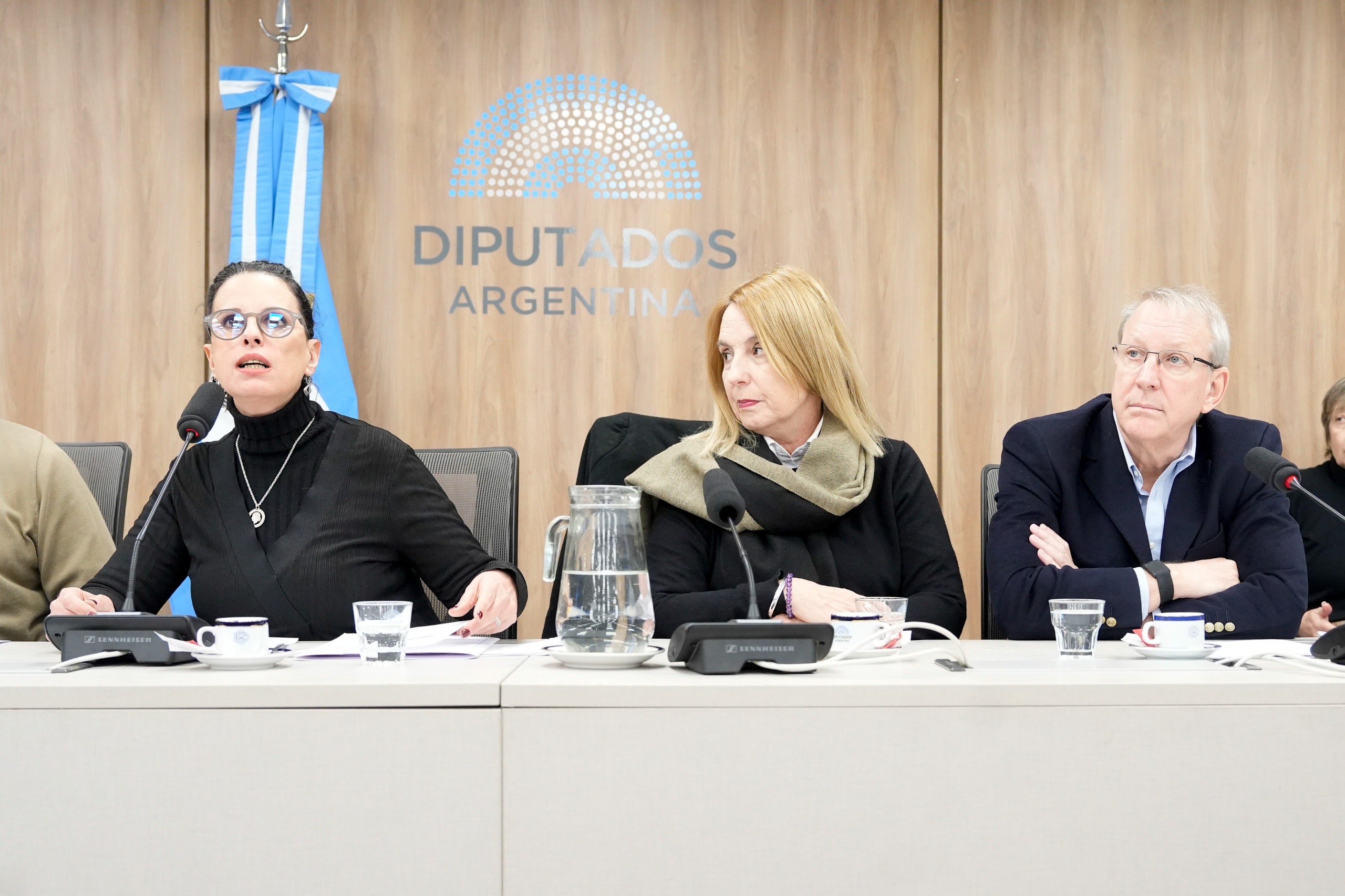 Galeria de imagenes de la noticia EL TITULAR DEL INCAA, CARLOS PIROVANO, EXPUSO EN LA COMISIÓN DE CULTURA