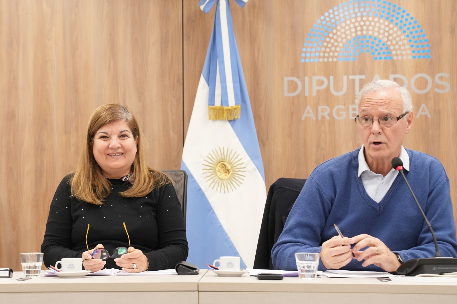 Galeria de imagenes de la noticia LA COMISIÓN DE CIENCIA Y TECNOLOGÍA AVALÓ UNA BATERÍA DE PROYECTOS DE RESOLUCIÓN Y DE DECLARACIÓN