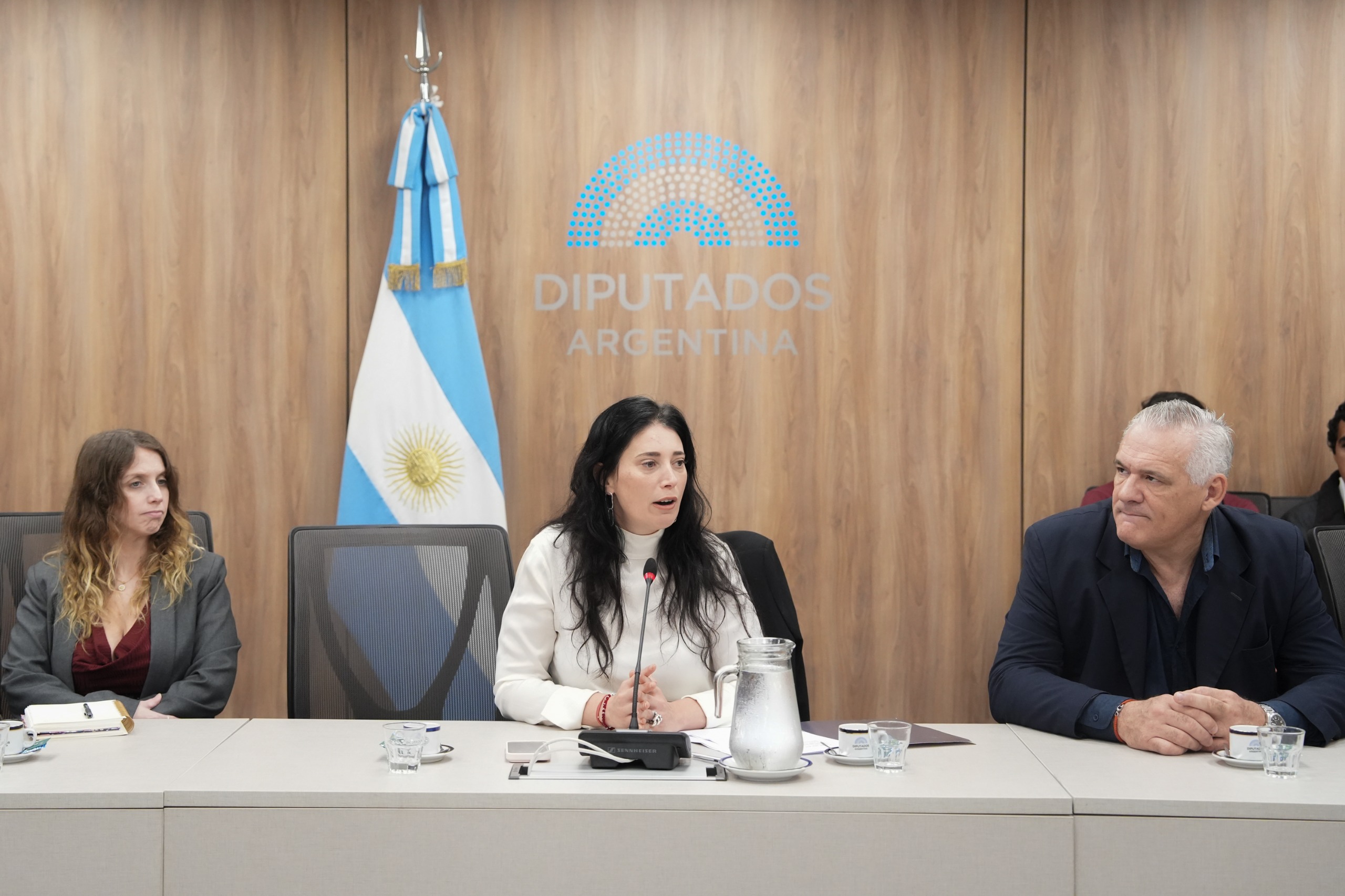 Galeria de imagenes de la noticia VÍCTIMAS DE VIOLACIONES DE DERECHOS HUMANOS OCURRIDAS EN FORMOSA EXPUSIERON EN DIPUTADOS