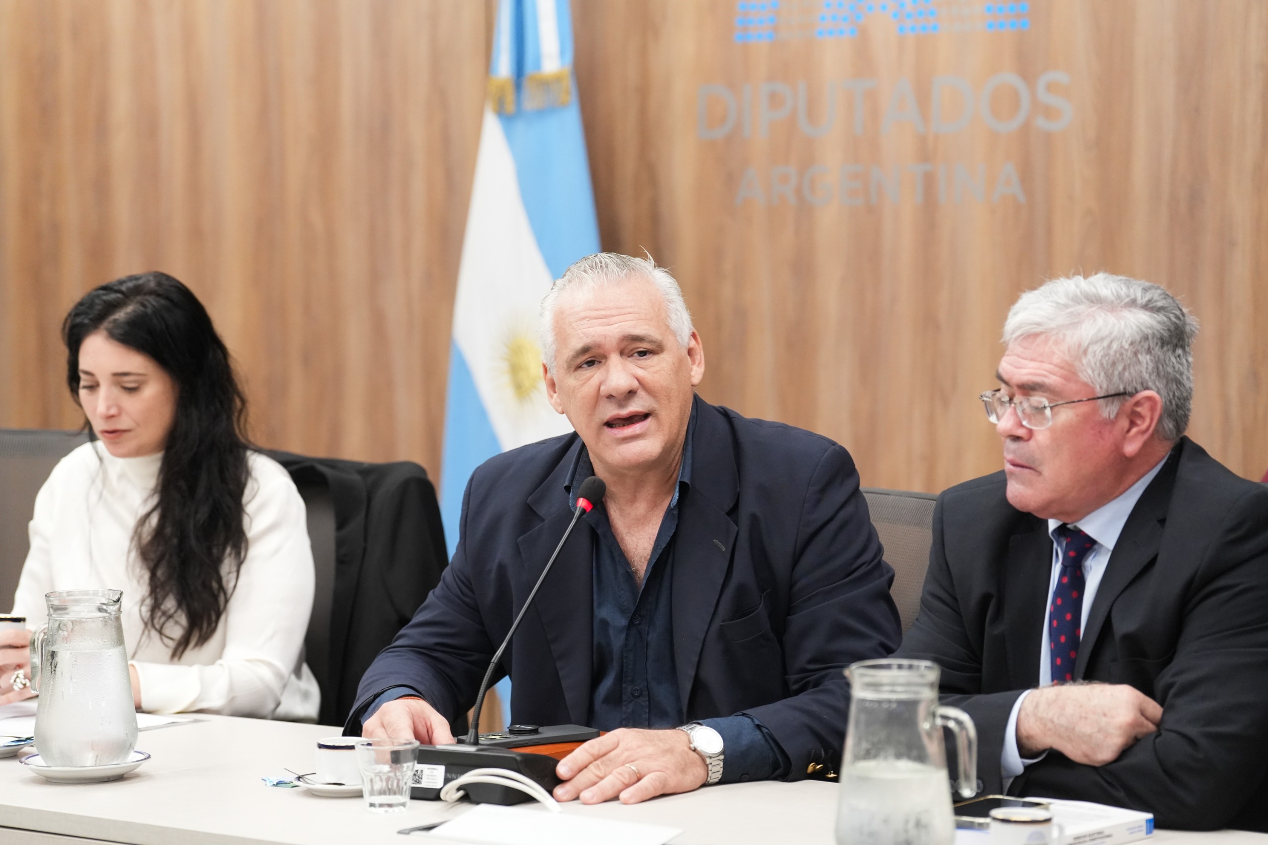 Galeria de imagenes de la noticia VÍCTIMAS DE VIOLACIONES DE DERECHOS HUMANOS OCURRIDAS EN FORMOSA EXPUSIERON EN DIPUTADOS