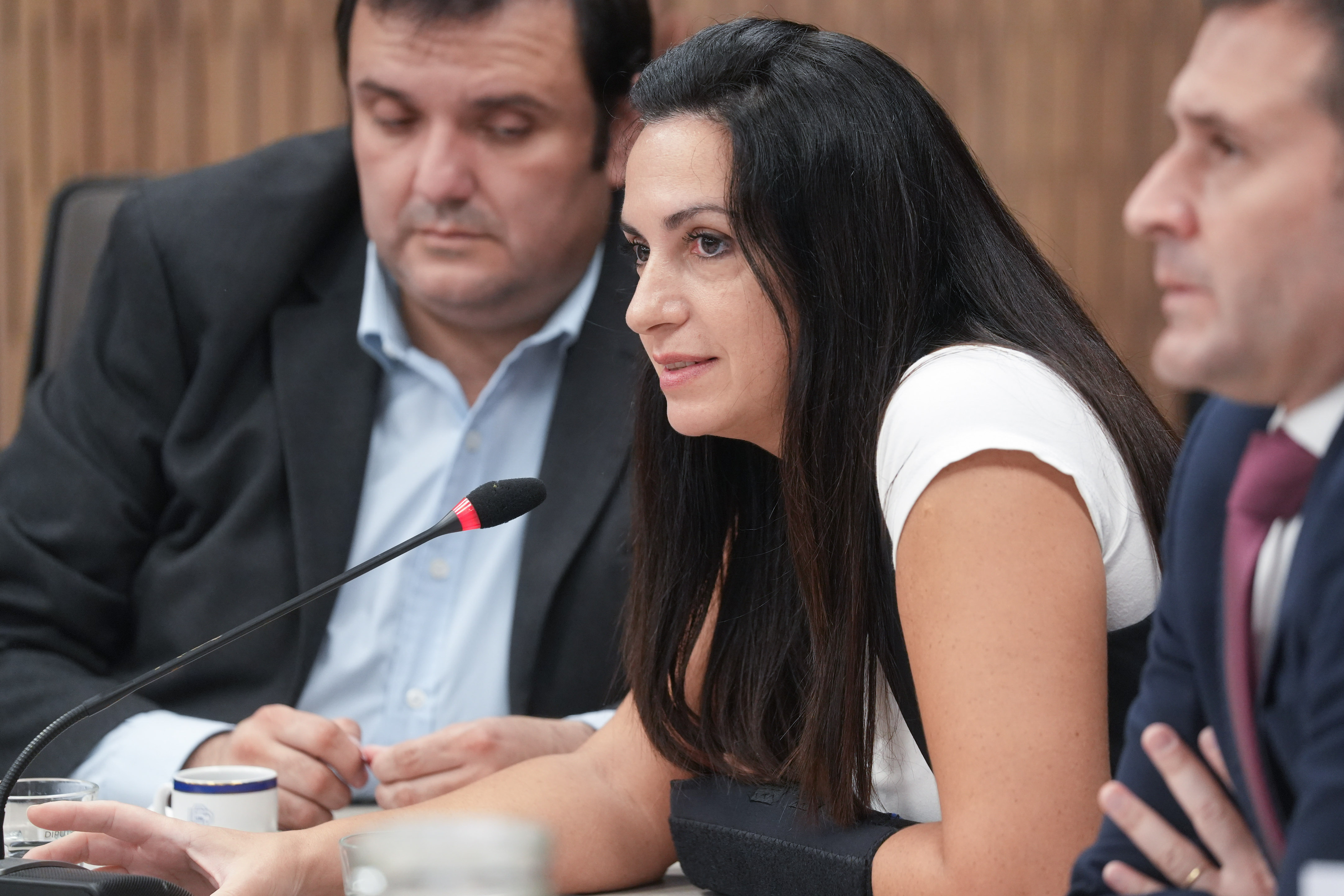 Galeria de imagenes de la noticia CON EXPOSITORES, COMISIÓN ABORDÓ EL SOBREENDEUDAMIENTO CON TARJETAS DE CRÉDITOS Y BILLETERAS VIRTUALES