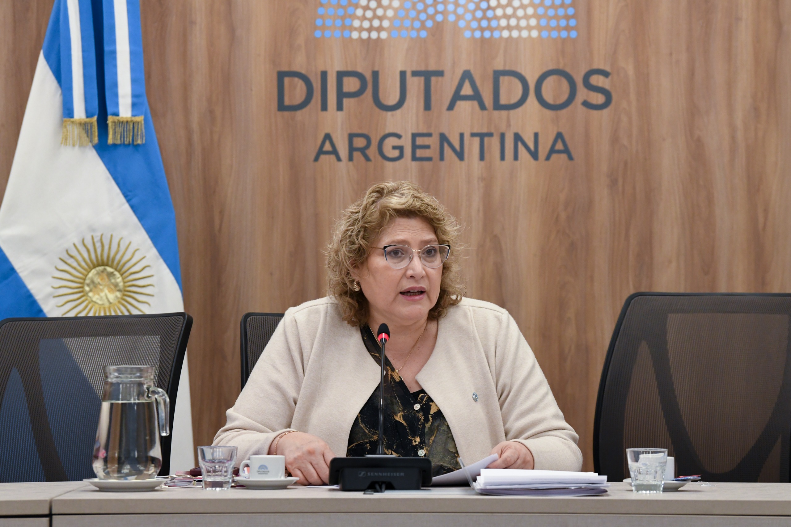 Galeria de imagenes de la noticia COMISIÓN DEBATIÓ LA MODIFICACIÓN DEL MARCO REGULATORIO PARA EL SERVICIO DE PROVISIÓN DE AGUA 