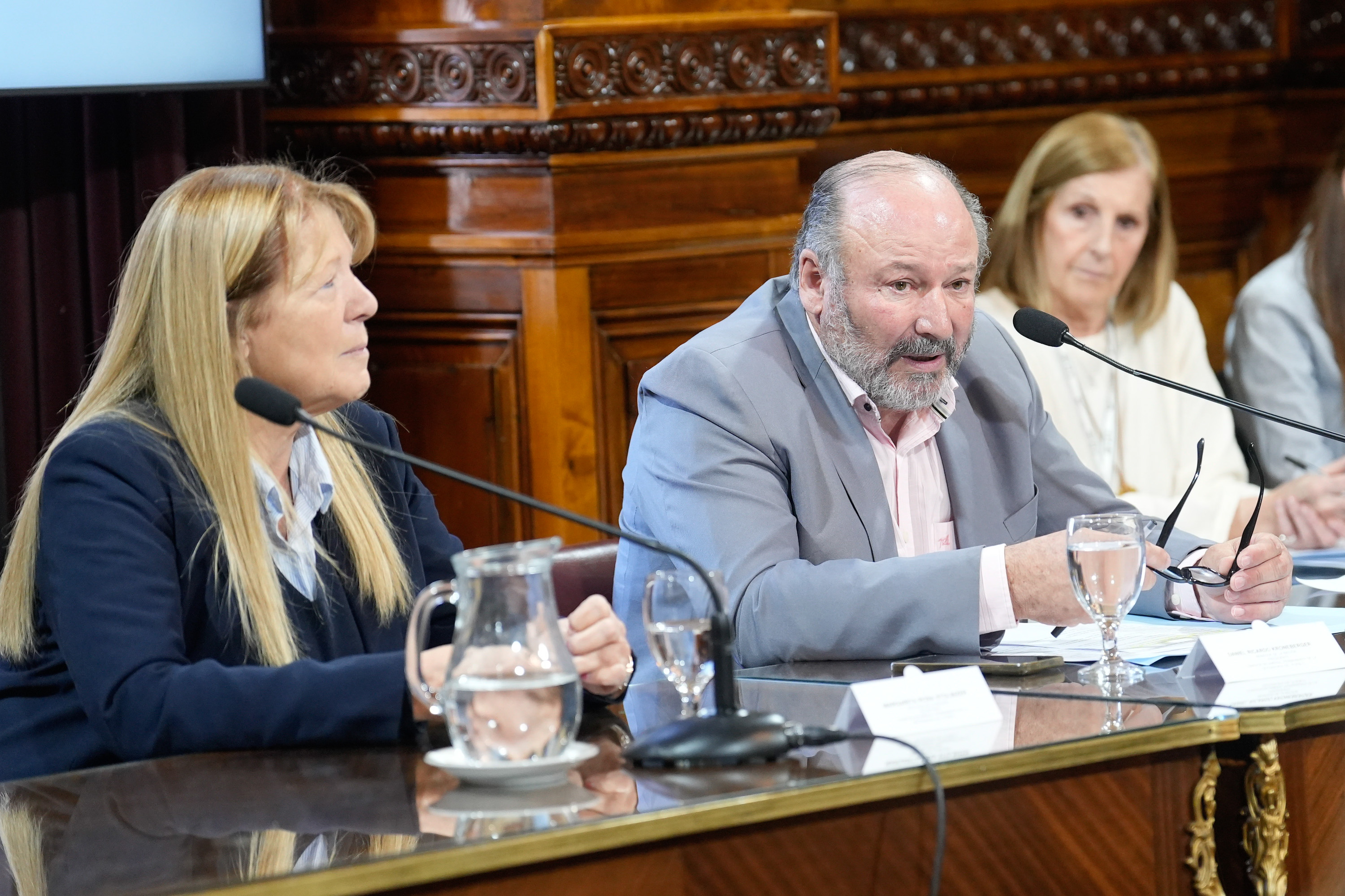 Galeria de imagenes de la noticia SE POSTERGÓ LA ELECCIÓN DE LAS TERNAS A DEFENSOR DEL PUEBLO DE LA NACIÓN Y DEL PROCURADOR PENITENCIARIO