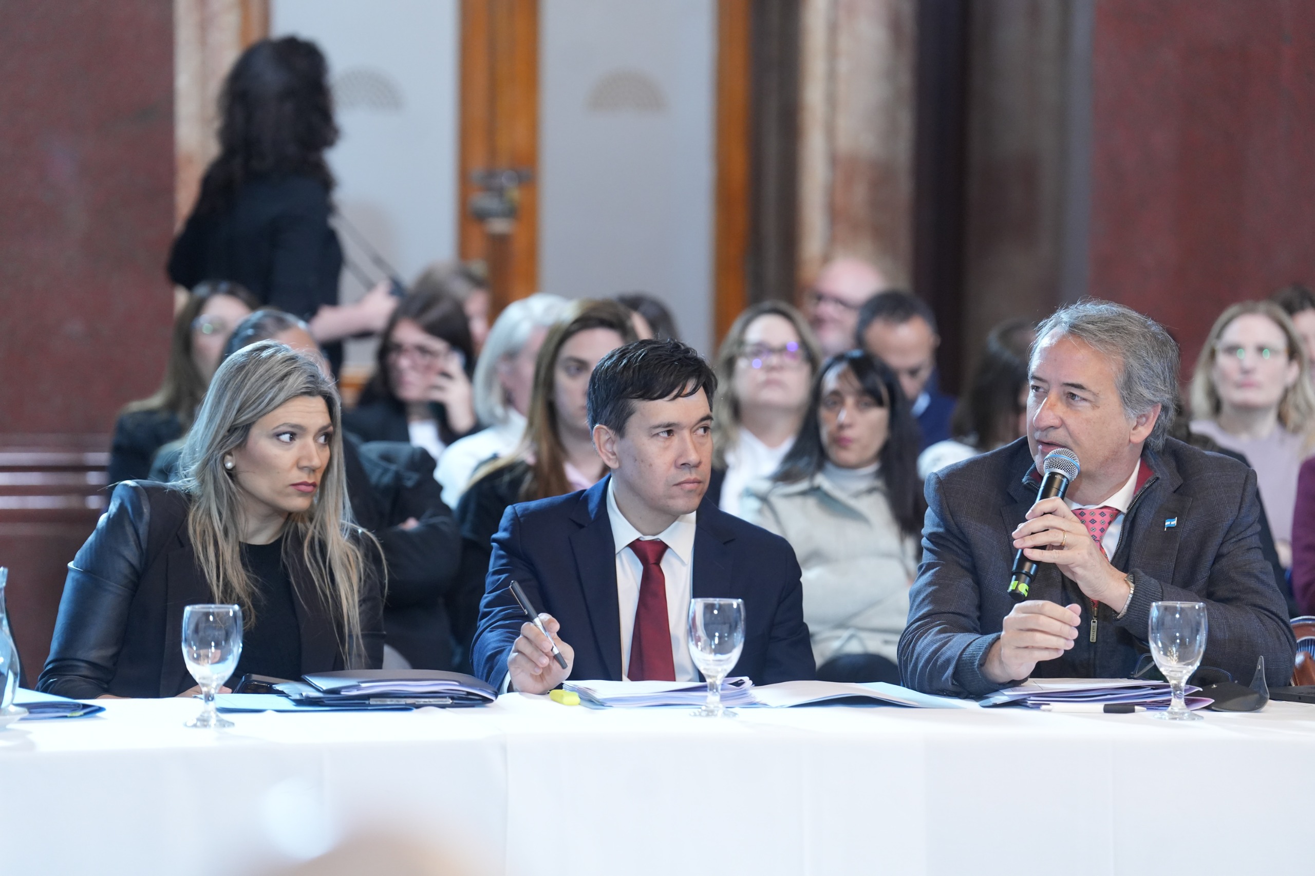 Galeria de imagenes de la noticia LOS CANDIDATOS A DEFENSOR DEL PUEBLO Y PROCURADOR PENITENCIARIO DE LA NACIÓN EXPUSIERON EN BICAMERAL