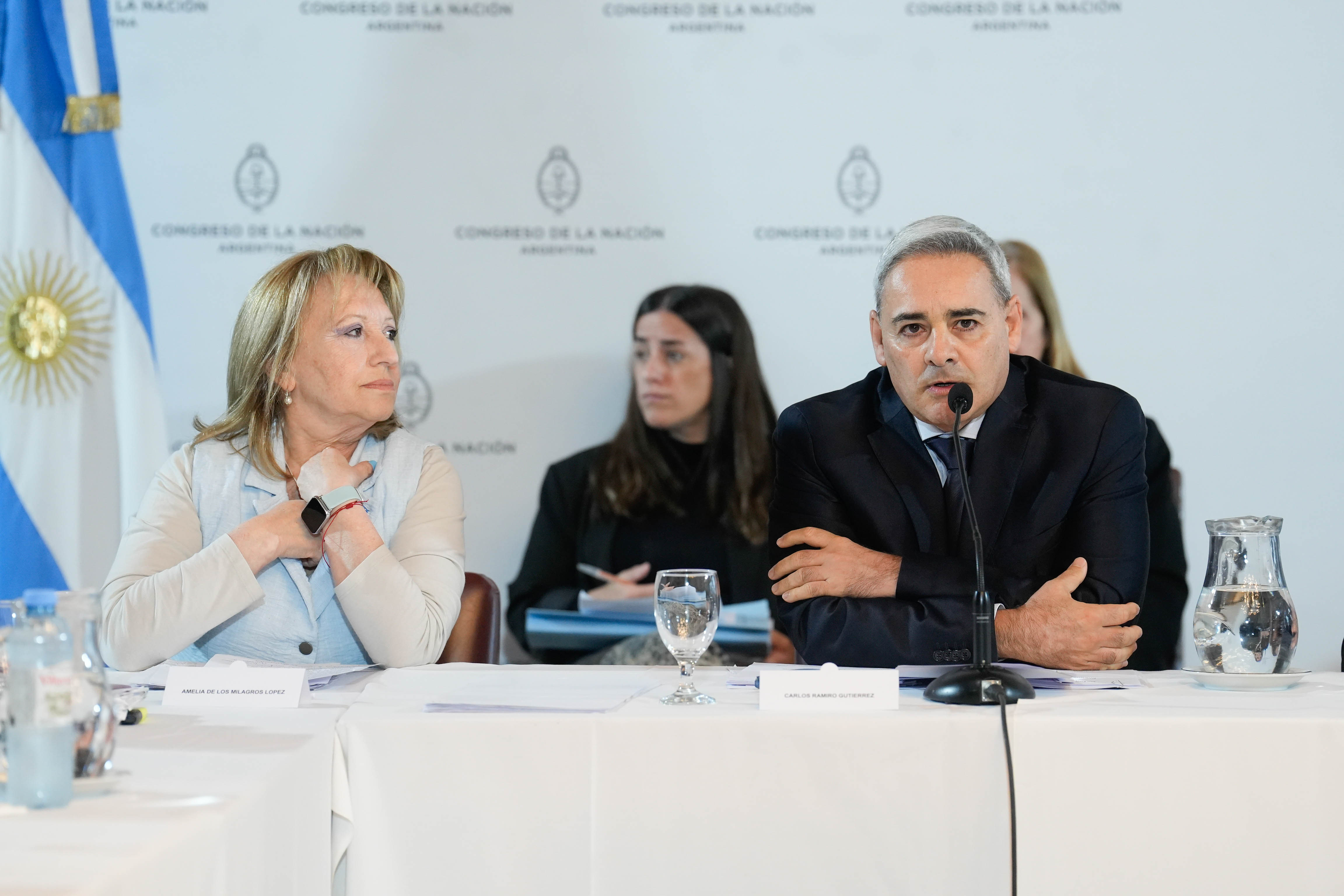 Galeria de imagenes de la noticia LOS CANDIDATOS A DEFENSOR DEL PUEBLO Y PROCURADOR PENITENCIARIO DE LA NACIÓN EXPUSIERON EN BICAMERAL