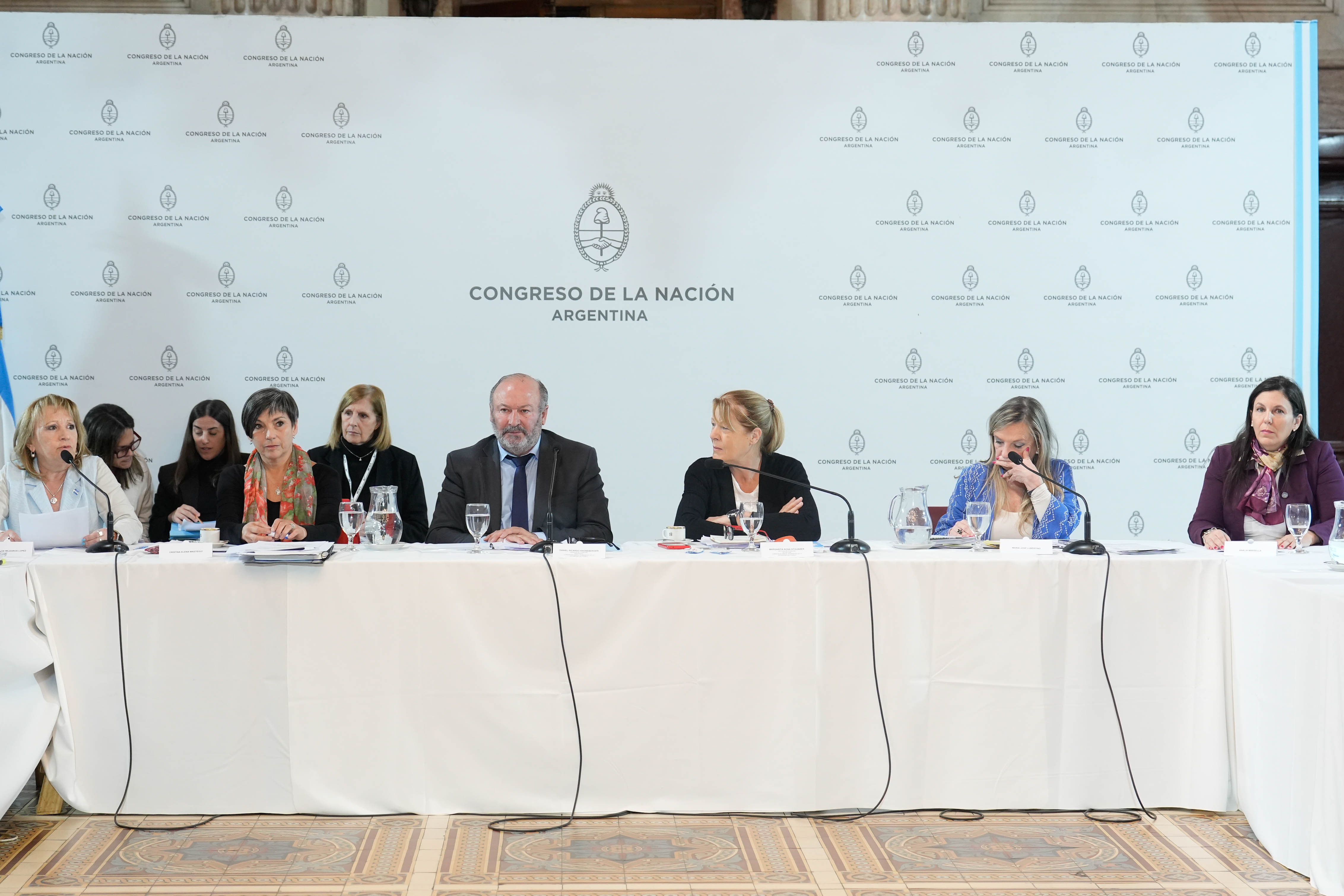 Galeria de imagenes de la noticia LOS CANDIDATOS A DEFENSOR DEL PUEBLO Y PROCURADOR PENITENCIARIO DE LA NACIÓN EXPUSIERON EN BICAMERAL