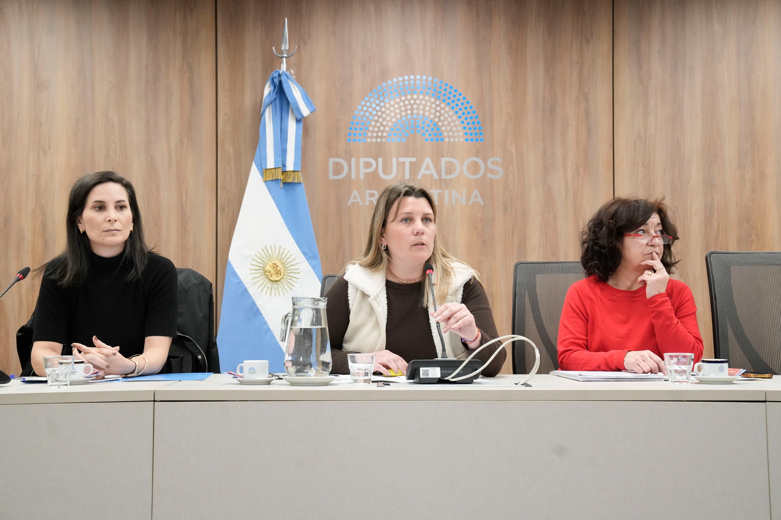 Galeria de imagenes de la noticia LA COMISIÓN DE DEPORTES DEBATIÓ SOBRE EL “PASADO, PRESENTE Y FUTURO DEL DEPORTE ARGENTINO”