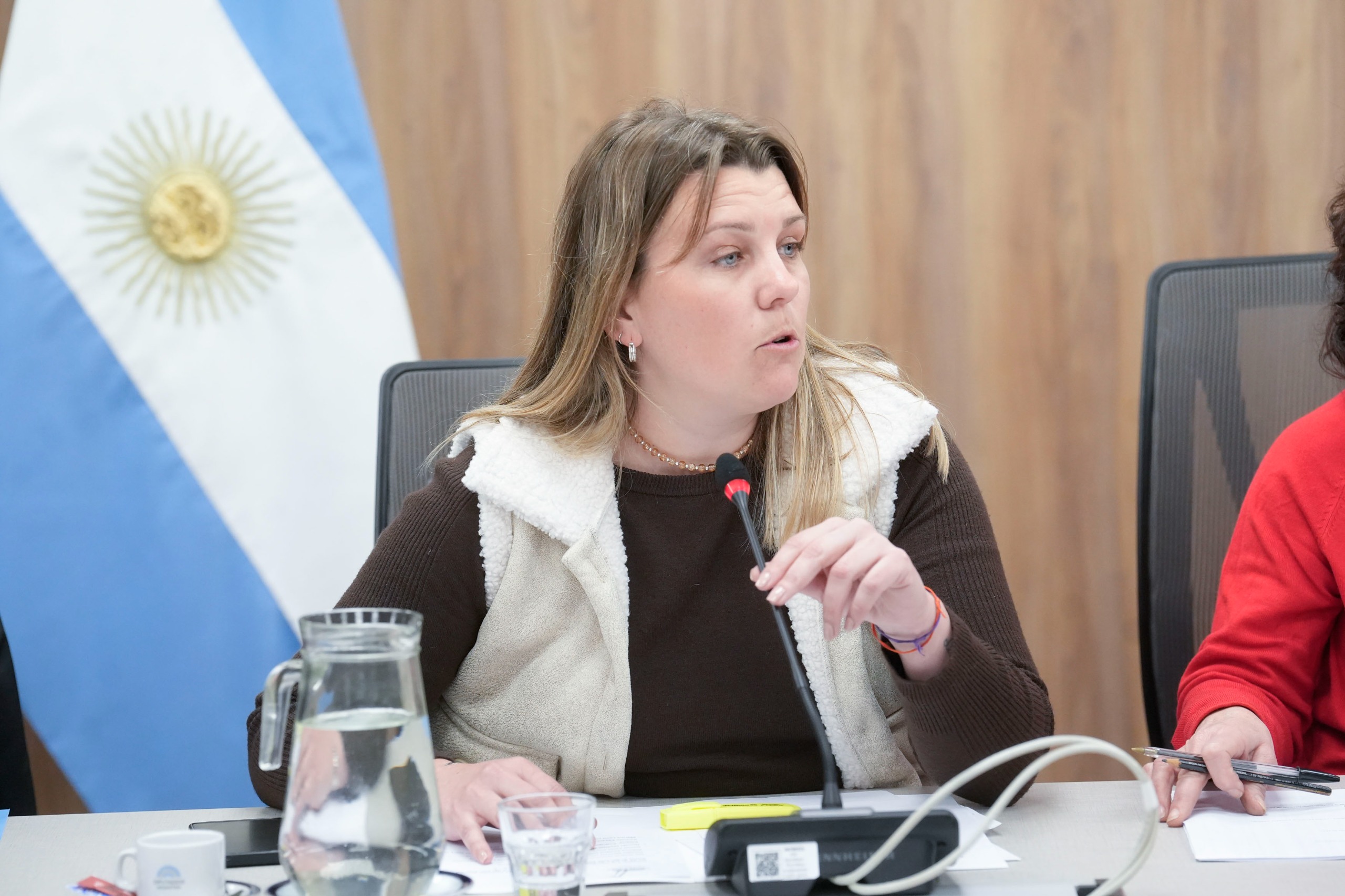 Galeria de imagenes de la noticia LA COMISIÓN DE DEPORTES DEBATIÓ SOBRE EL “PASADO, PRESENTE Y FUTURO DEL DEPORTE ARGENTINO”