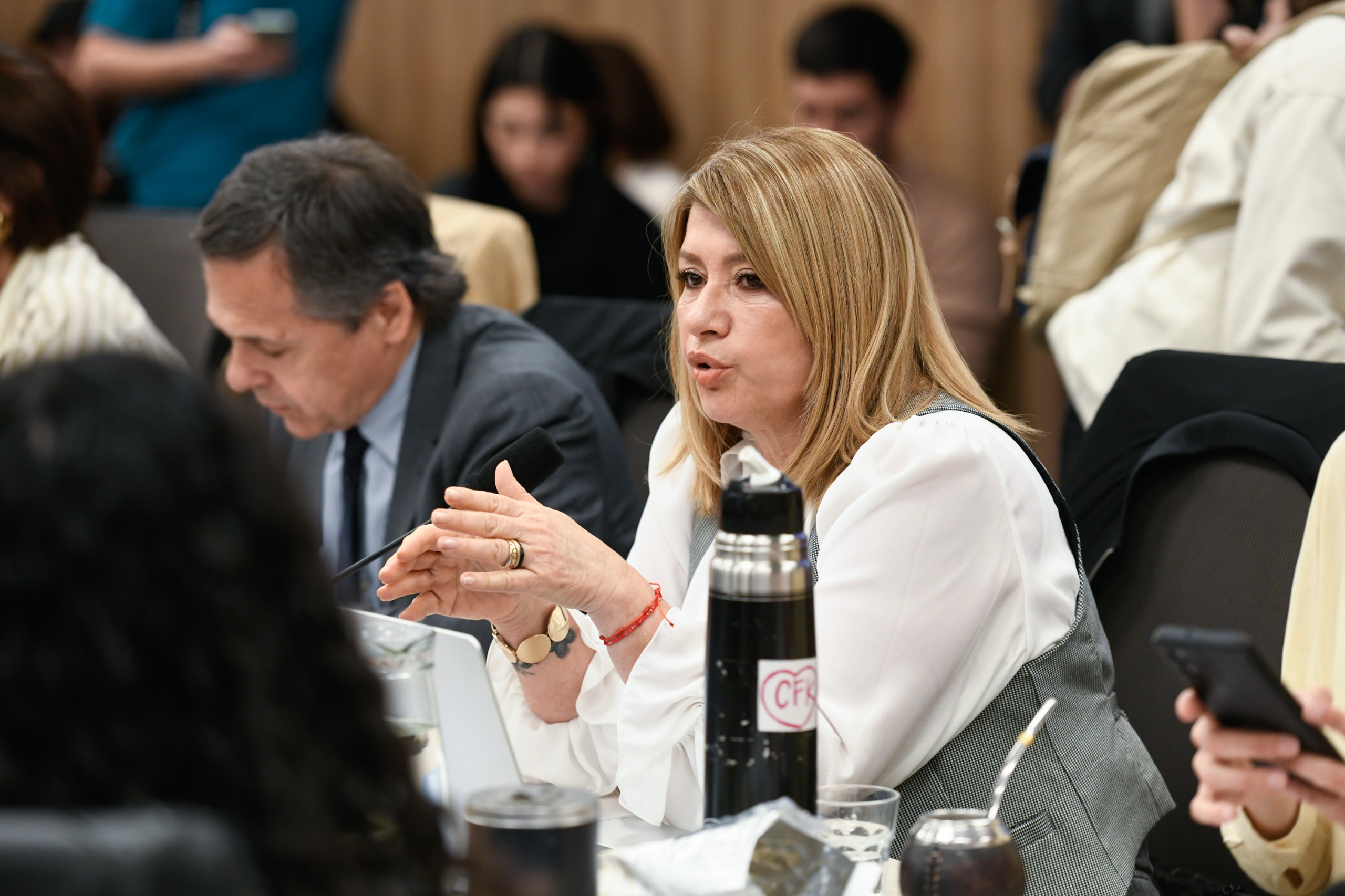 Galeria de imagenes de la noticia TRAS EL EMPLAZAMIENTO, PLENARIO COMENZÓ EL DEBATE PARA MODIFICAR EL RÉGIMEN LEGAL DE LOS DNU