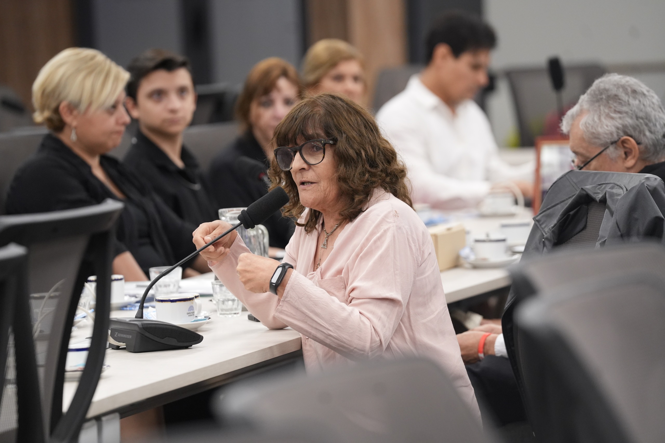 Galeria de imagenes de la noticia COMISIÓN INVESTIGADORA PRESENTÓ INFORME FINAL CON 20 RECOMENDACIONES SOBRE FENTANILO CONTAMINADO