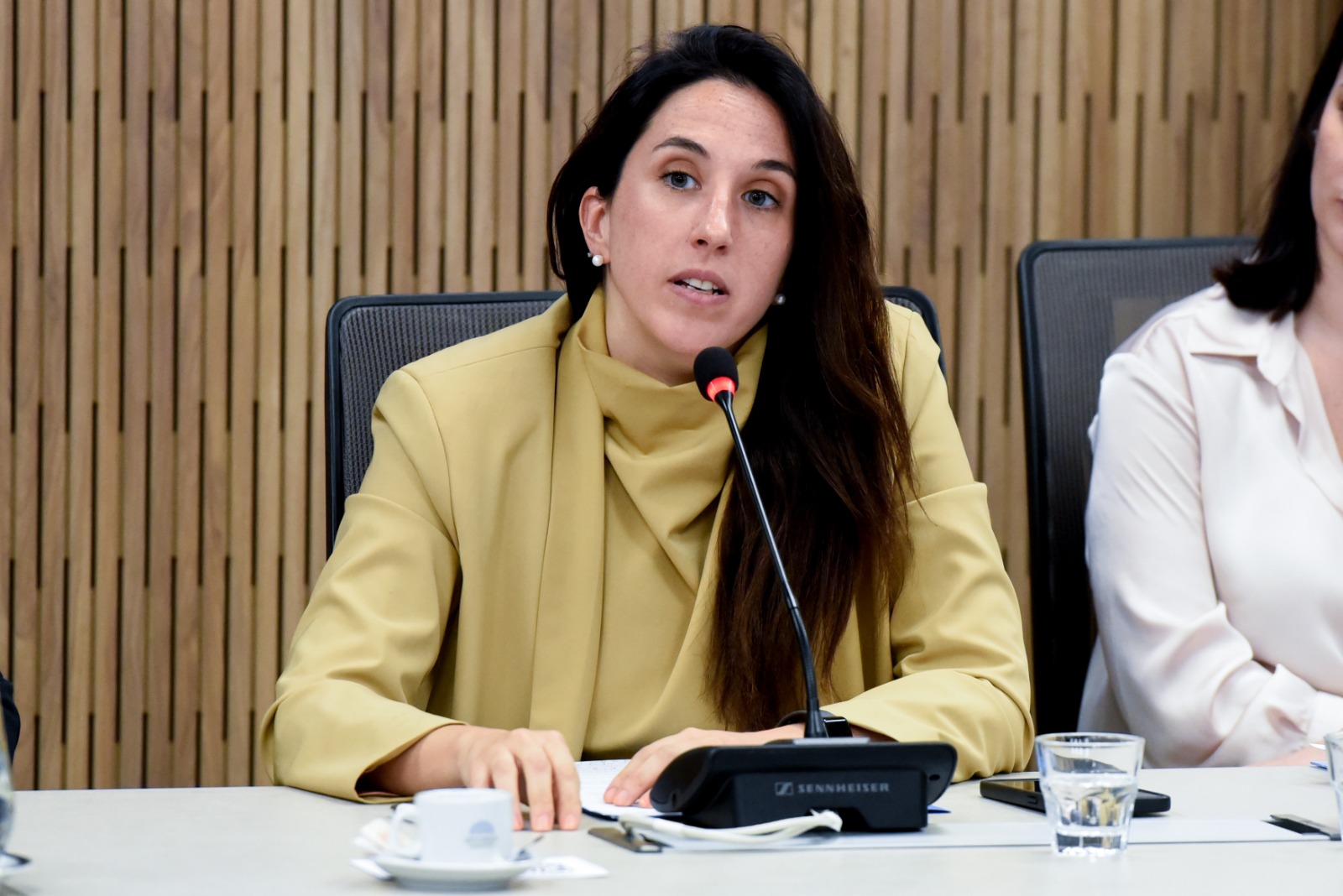 Galeria de imagenes de la noticia CASO DEL FENTANILO CONTAMINADO: ESPECIALISTAS APORTARON INFORMACIÓN SOBRE EL CASO