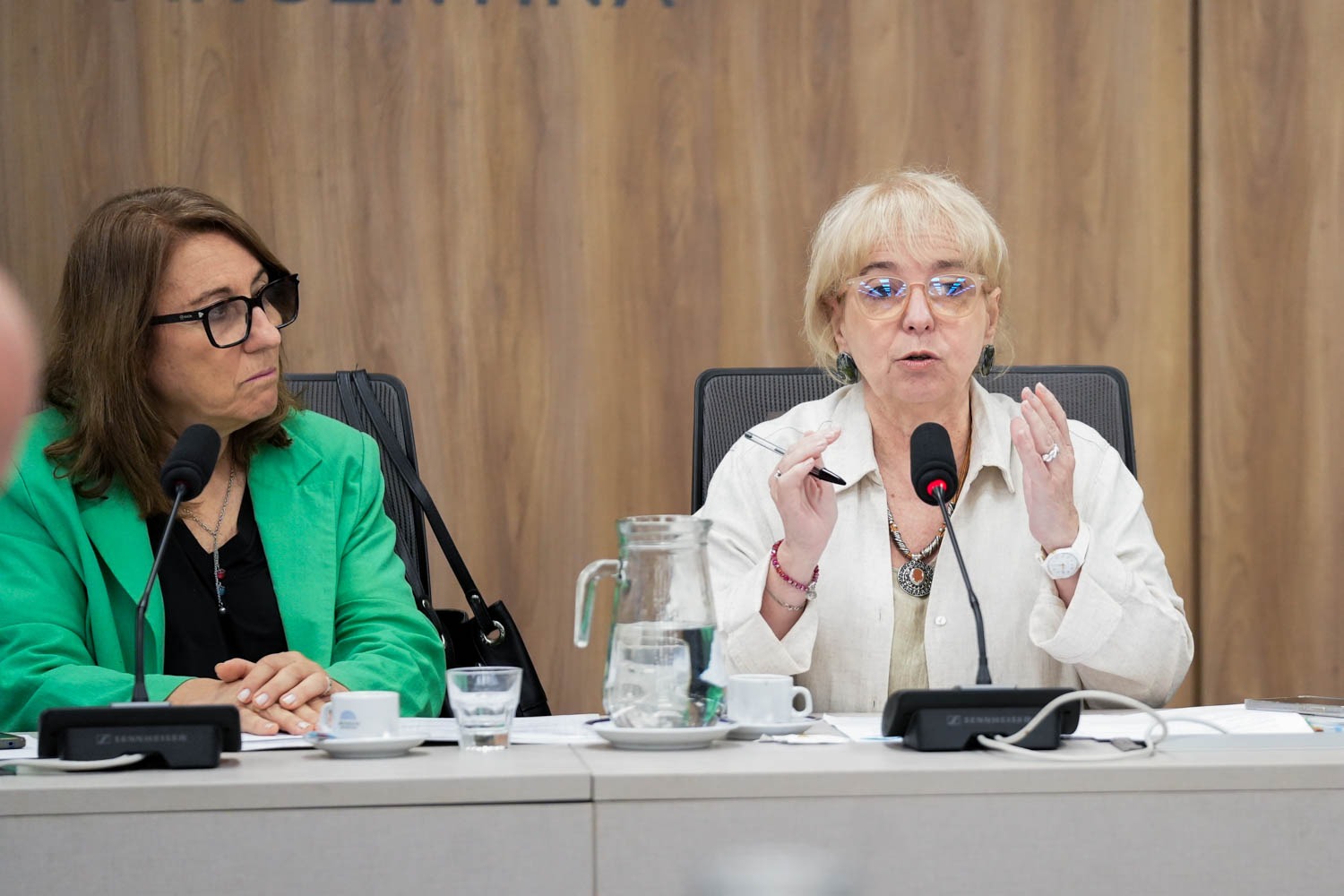 Galeria de imagenes de la noticia FENTANILO CONTAMINADO: ÚLTIMA REUNIÓN PREVIO A LA PRESENTACIÓN DEL INFORME FINAL DE LA COMISIÓN