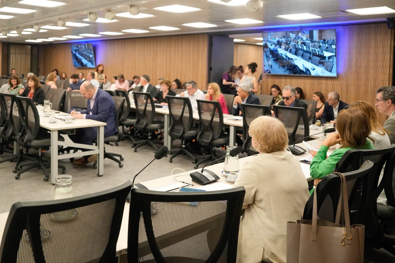 Galeria de imagenes de la noticia FENTANILO CONTAMINADO: ÚLTIMA REUNIÓN PREVIO A LA PRESENTACIÓN DEL INFORME FINAL DE LA COMISIÓN