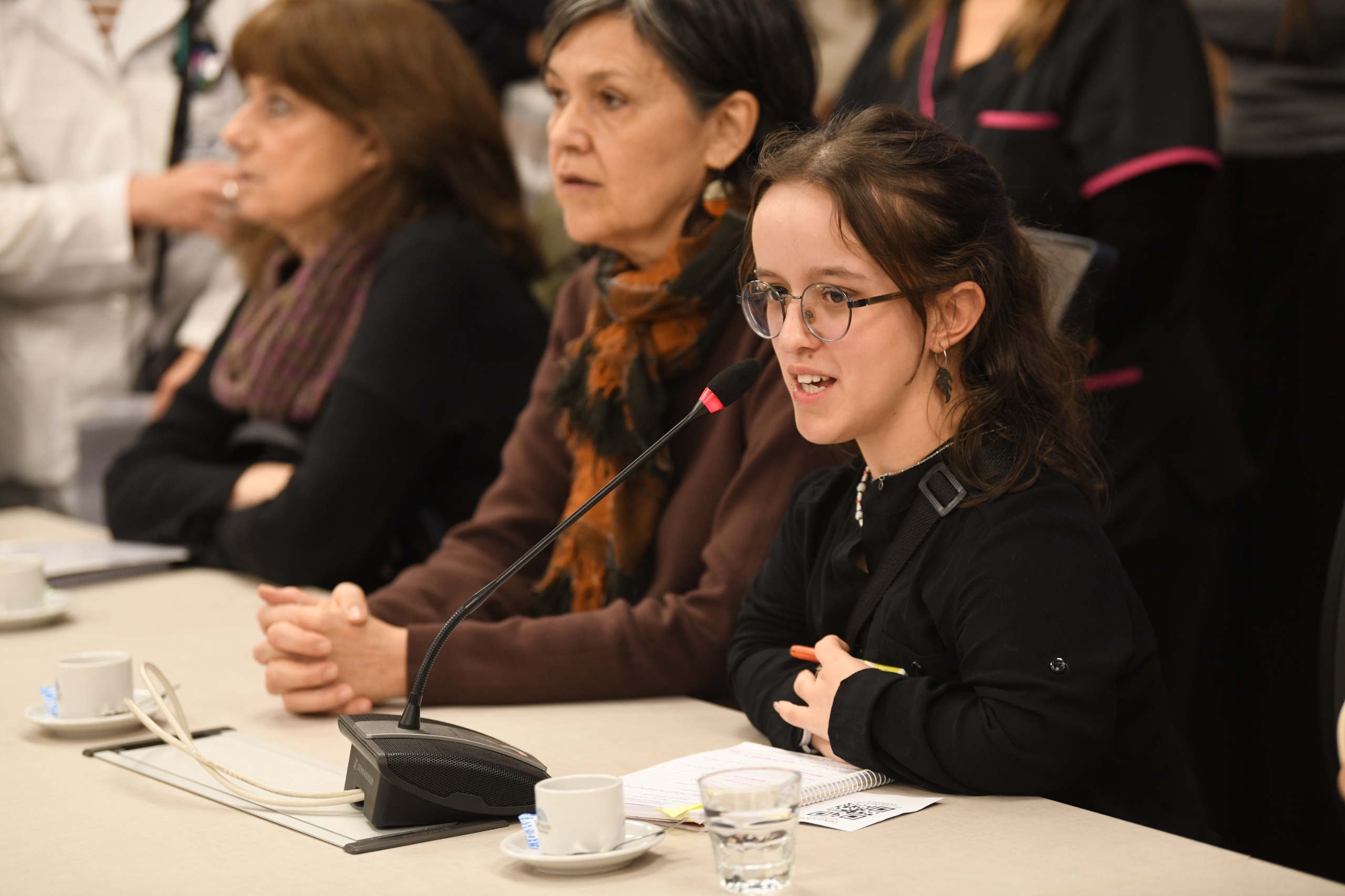 Galeria de imagenes de la noticia DICTAMEN DE MAYORÍA AL PROYECTO DE LEY QUE DECLARA LA EMERGENCIA SANITARIA DE LA SALUD PEDIÁTRICA