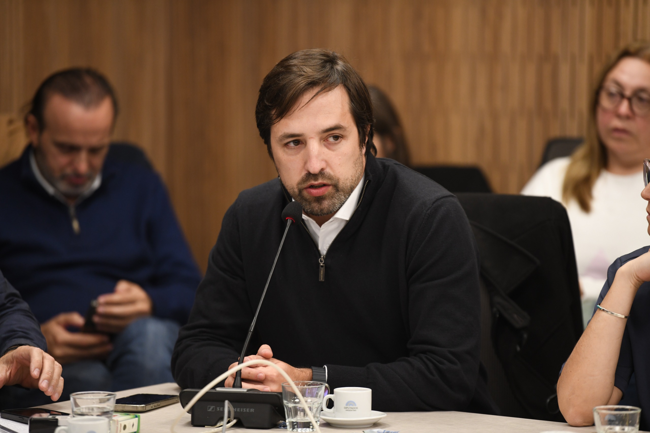 Galeria de imagenes de la noticia DICTAMEN DE MAYORÍA AL PROYECTO DE LEY QUE DECLARA LA EMERGENCIA SANITARIA DE LA SALUD PEDIÁTRICA