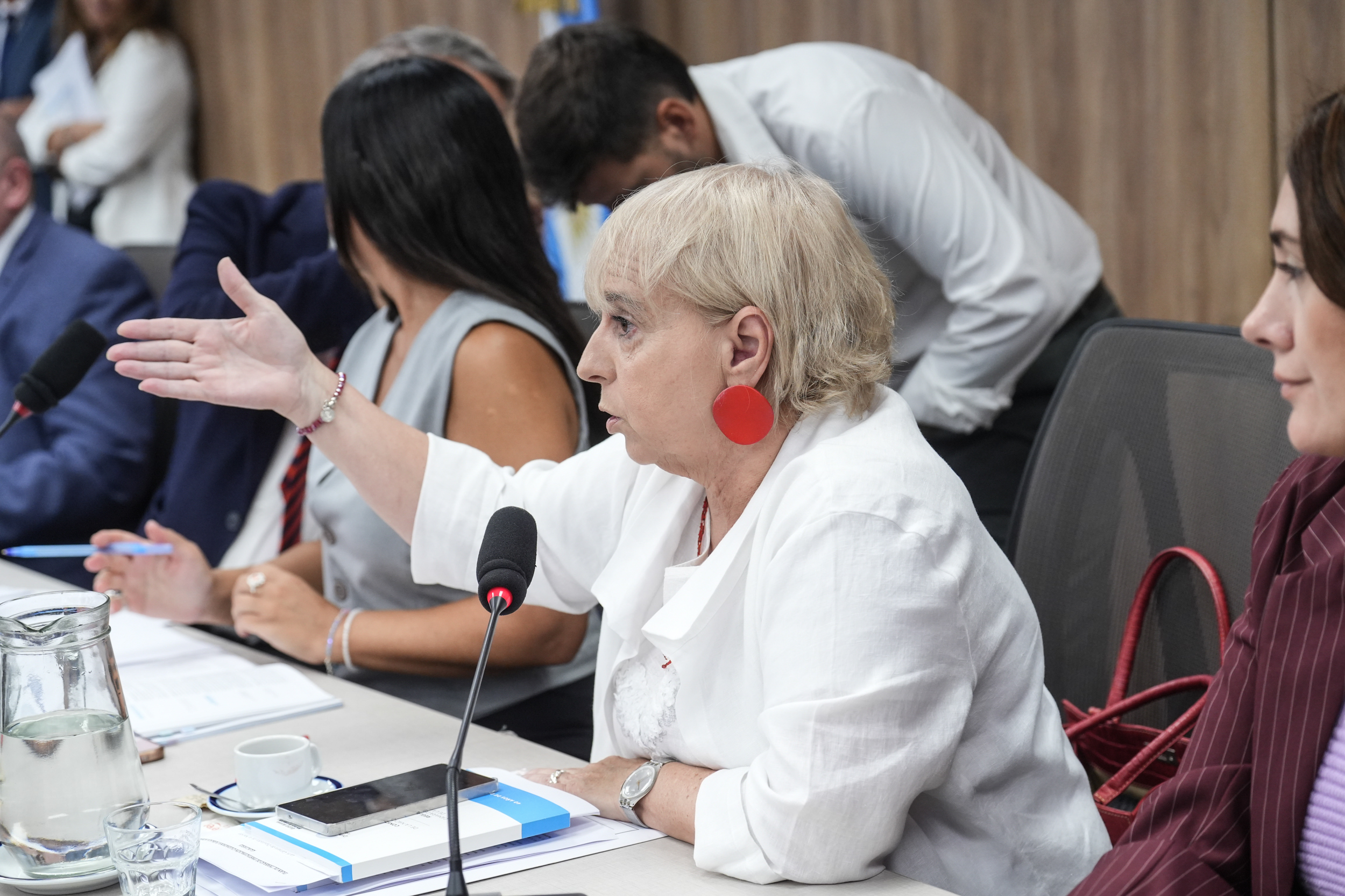 Galeria de imagenes de la noticia PLENARIO AVALÓ LA REALIZACIÓN DE AUDIENCIAS PÚBLICAS PARA DEBATIR EL PROYECTO DE MODIFICACIÓN A LA LEY DE GLACIARES 