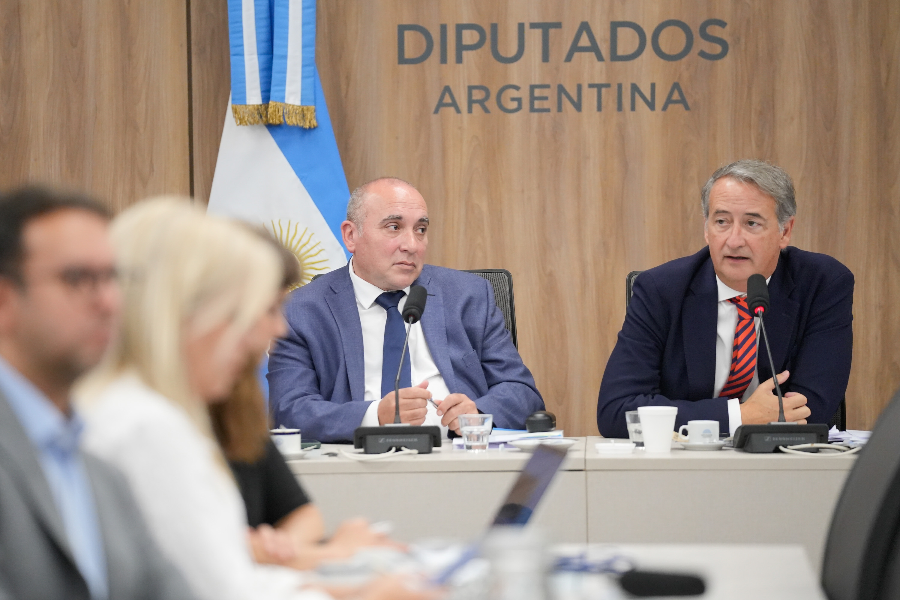 Galeria de imagenes de la noticia PLENARIO AVALÓ LA REALIZACIÓN DE AUDIENCIAS PÚBLICAS PARA DEBATIR EL PROYECTO DE MODIFICACIÓN A LA LEY DE GLACIARES 
