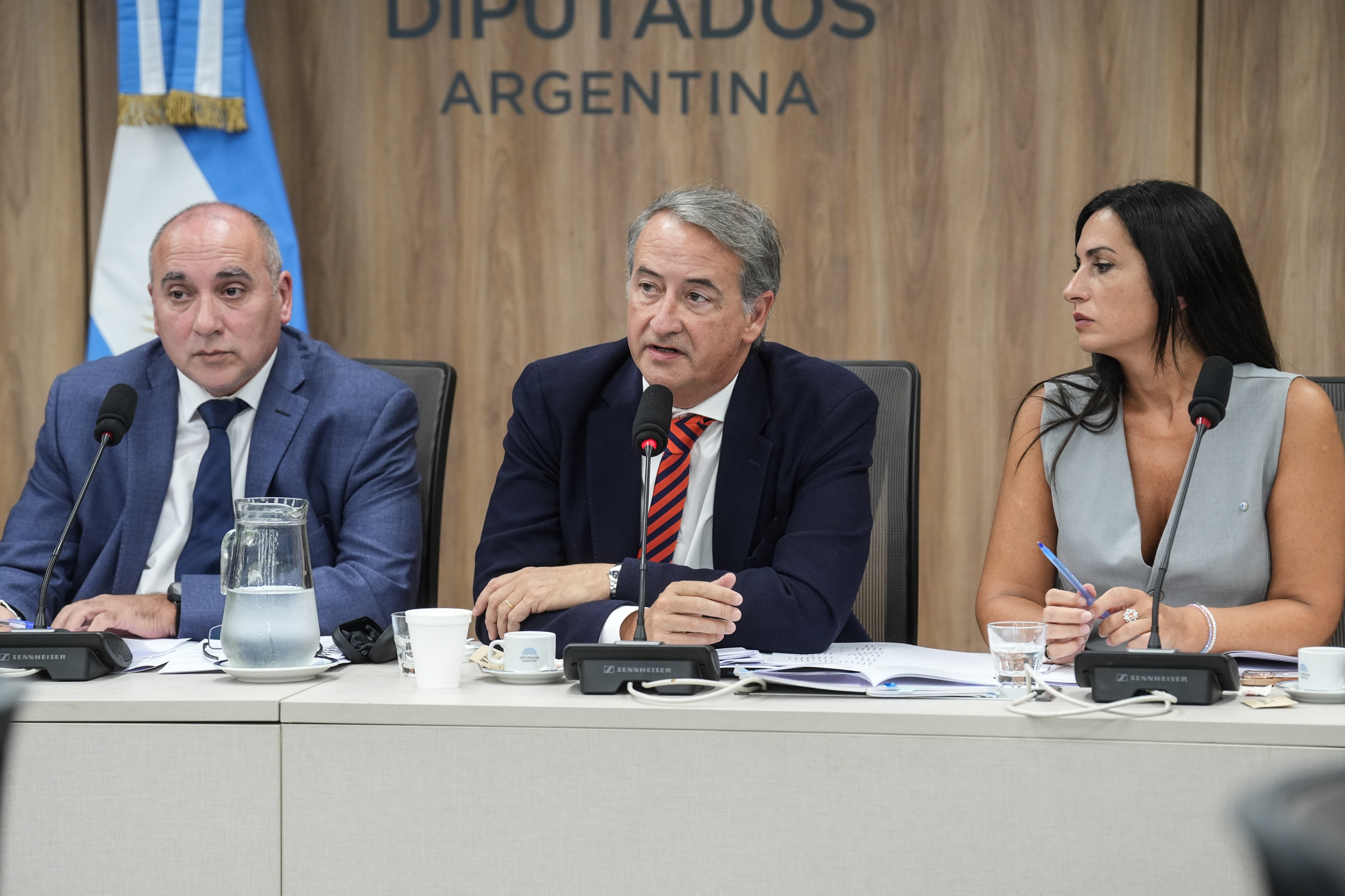 Galeria de imagenes de la noticia PLENARIO AVALÓ LA REALIZACIÓN DE AUDIENCIAS PÚBLICAS PARA DEBATIR EL PROYECTO DE MODIFICACIÓN A LA LEY DE GLACIARES 